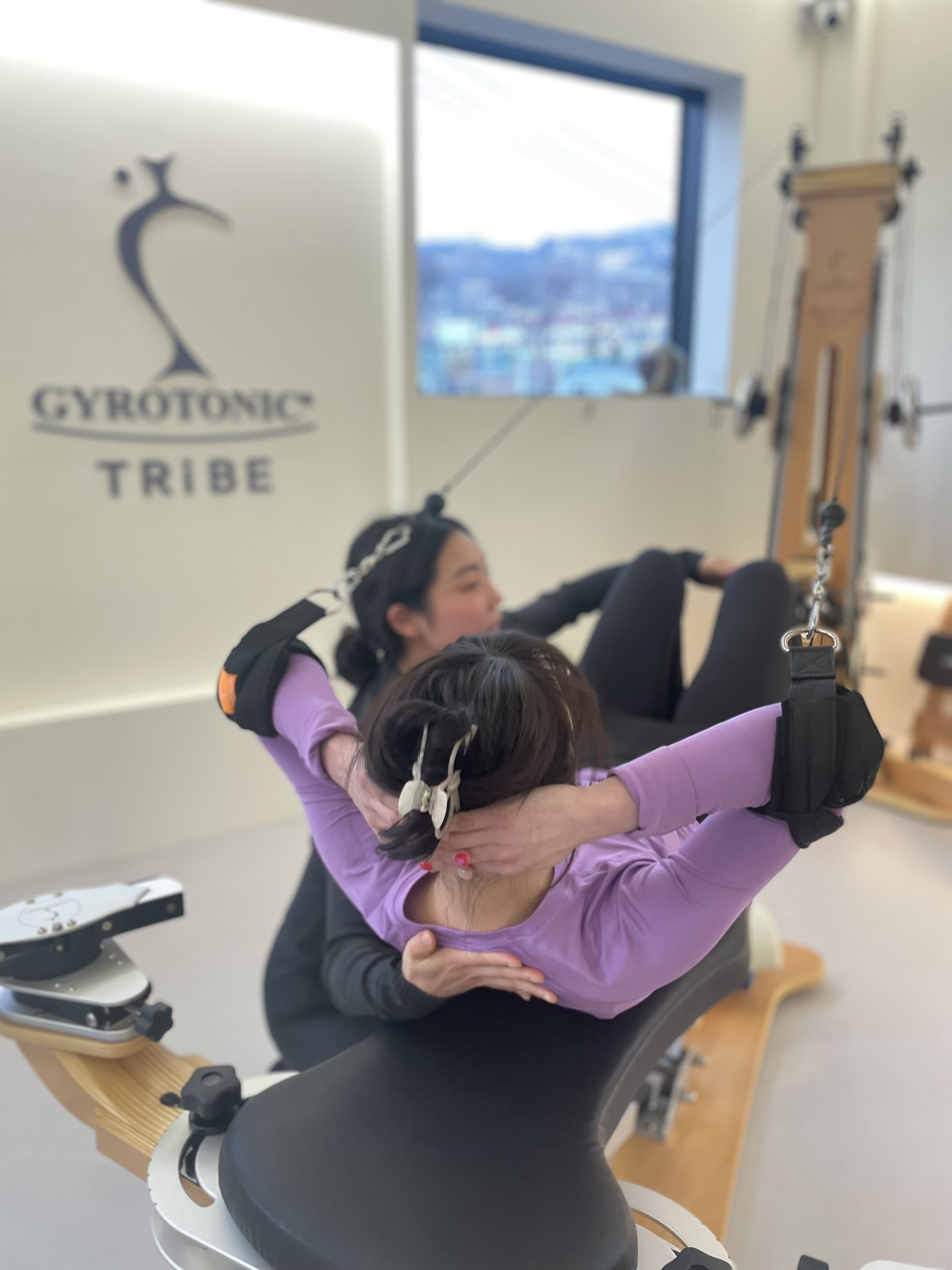 자이로토닉 트라이브 대표 이미지