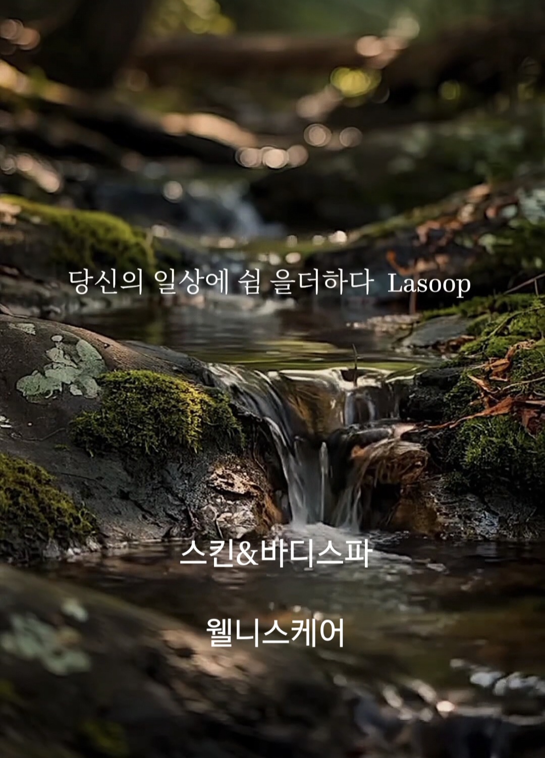라숲 스킨앤바디스파