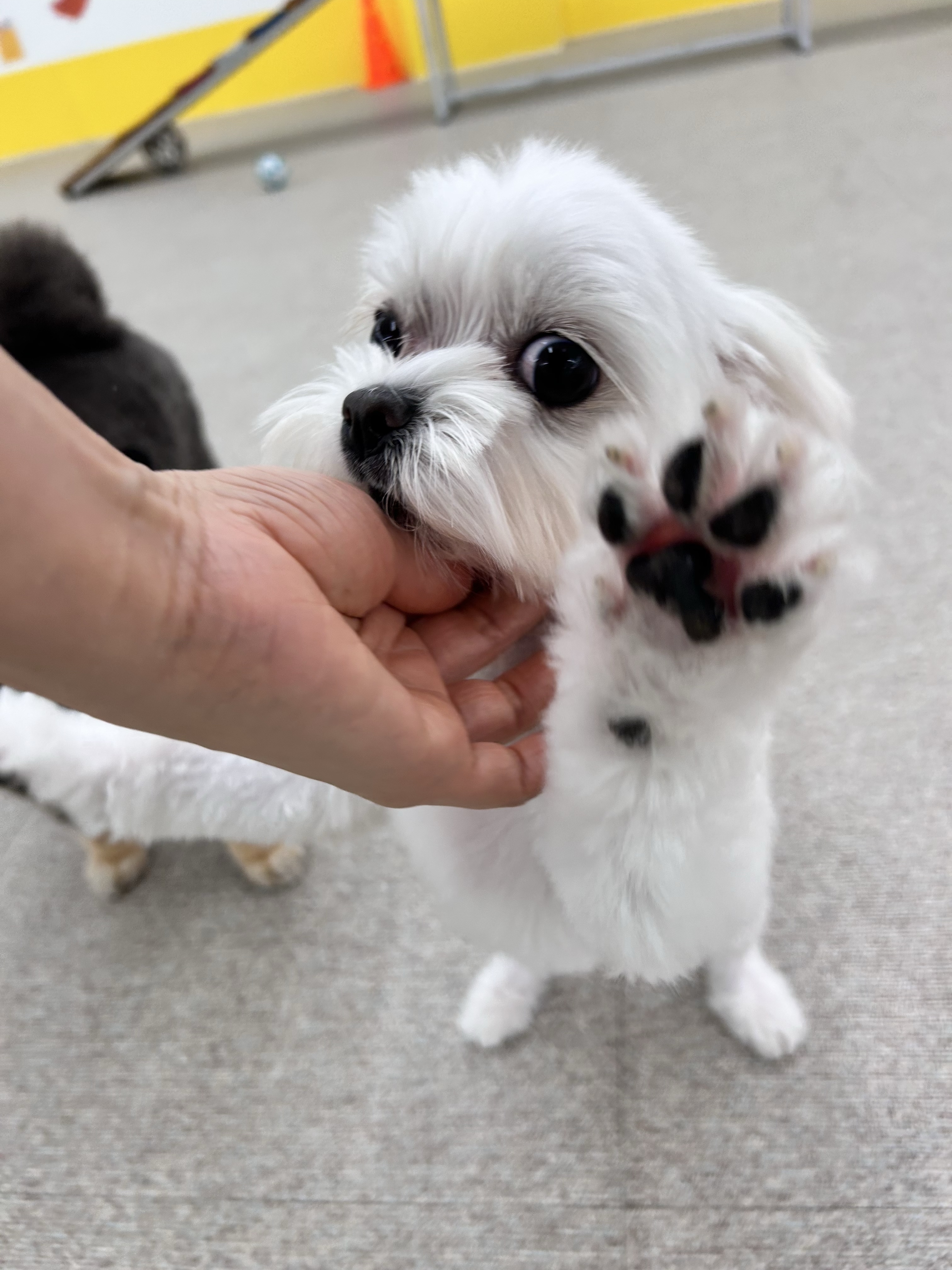 인누온 대표 이미지