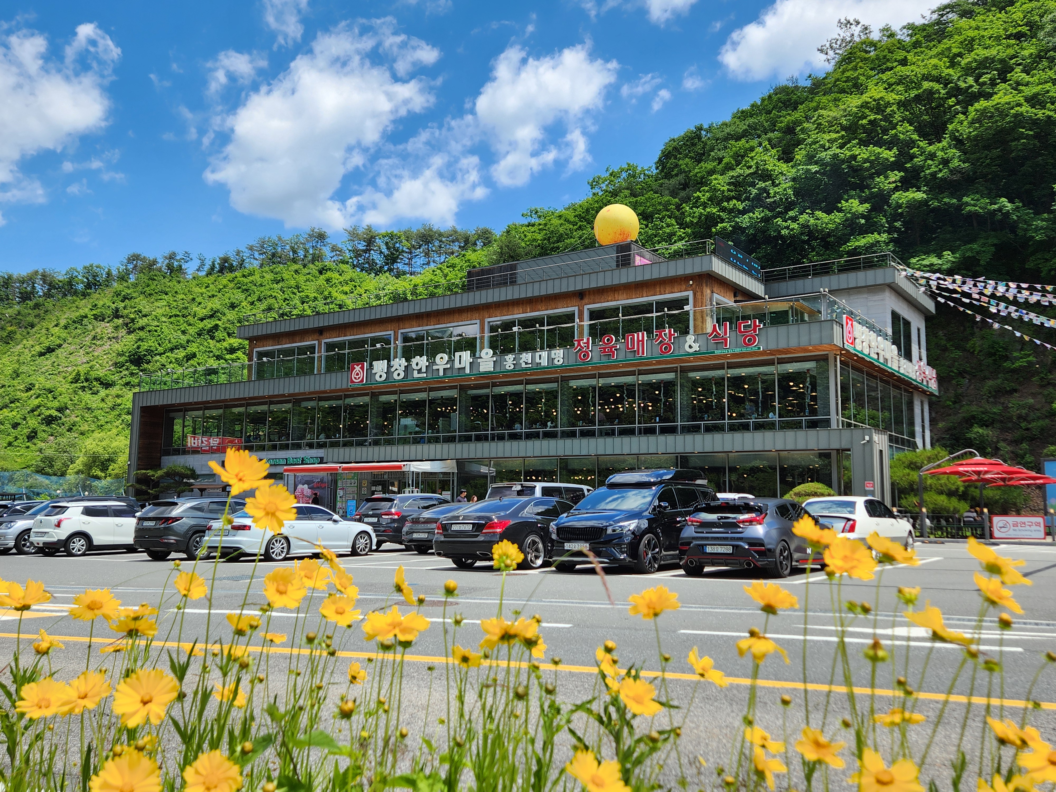 평창한우마을 홍천대명점 설명사진