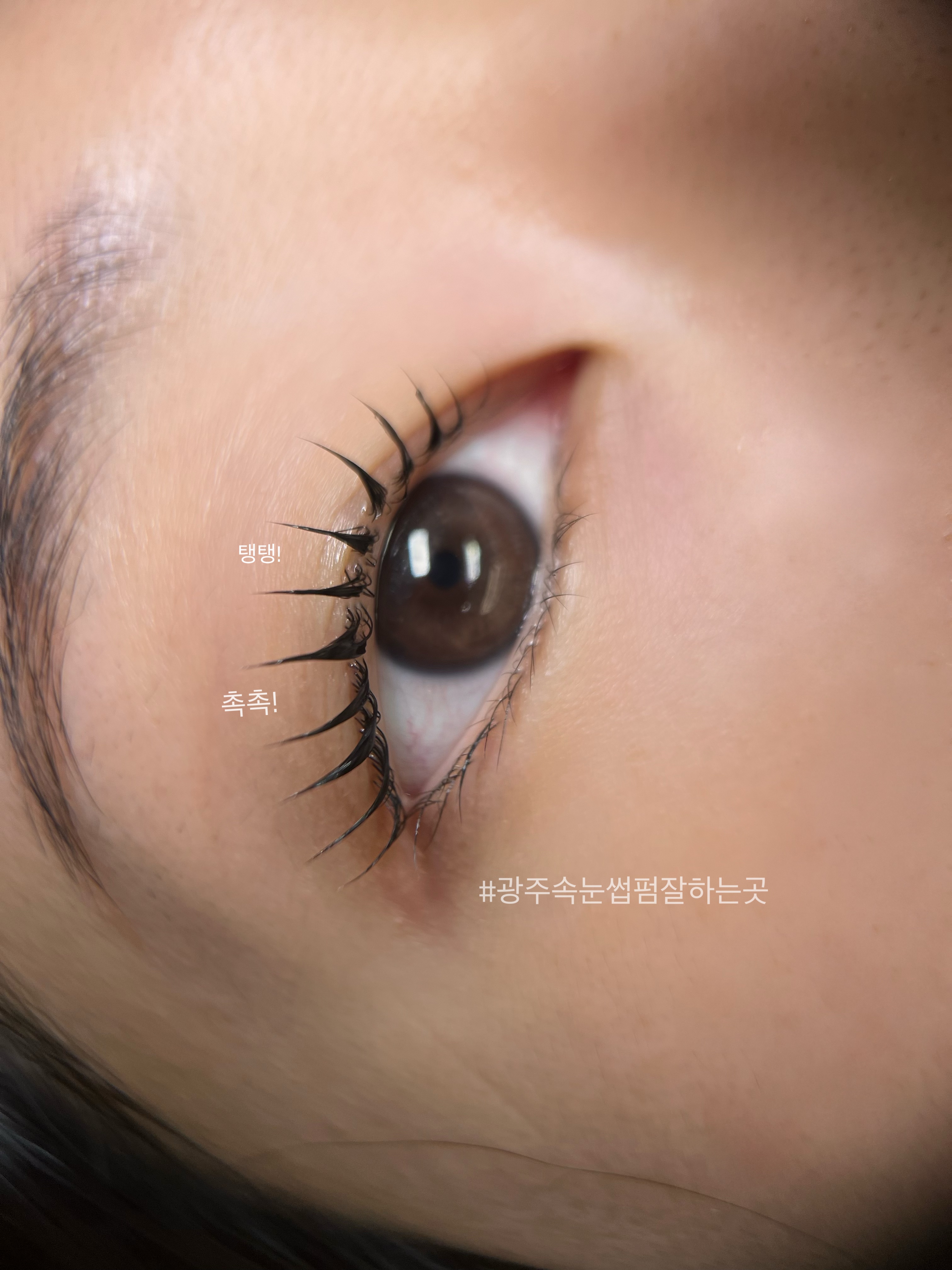 섬세희