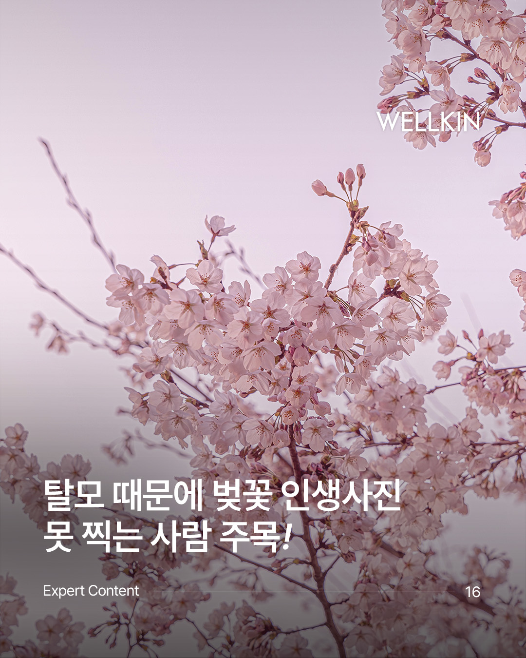 웰킨 두피탈모센터 종로점