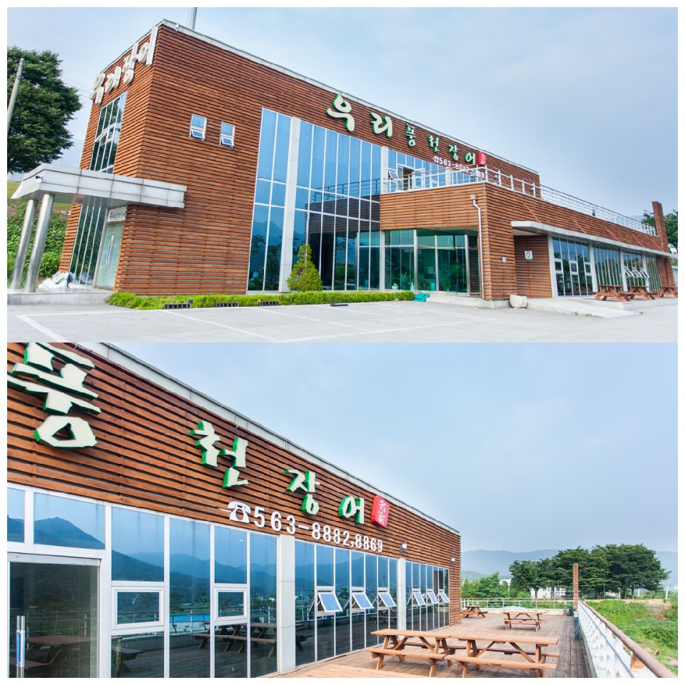 우리풍천장어