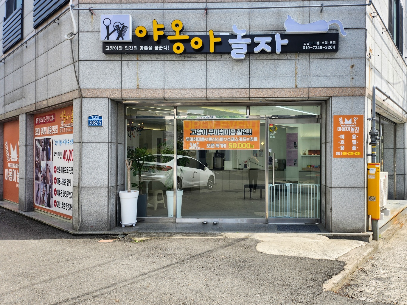 야옹아놀자