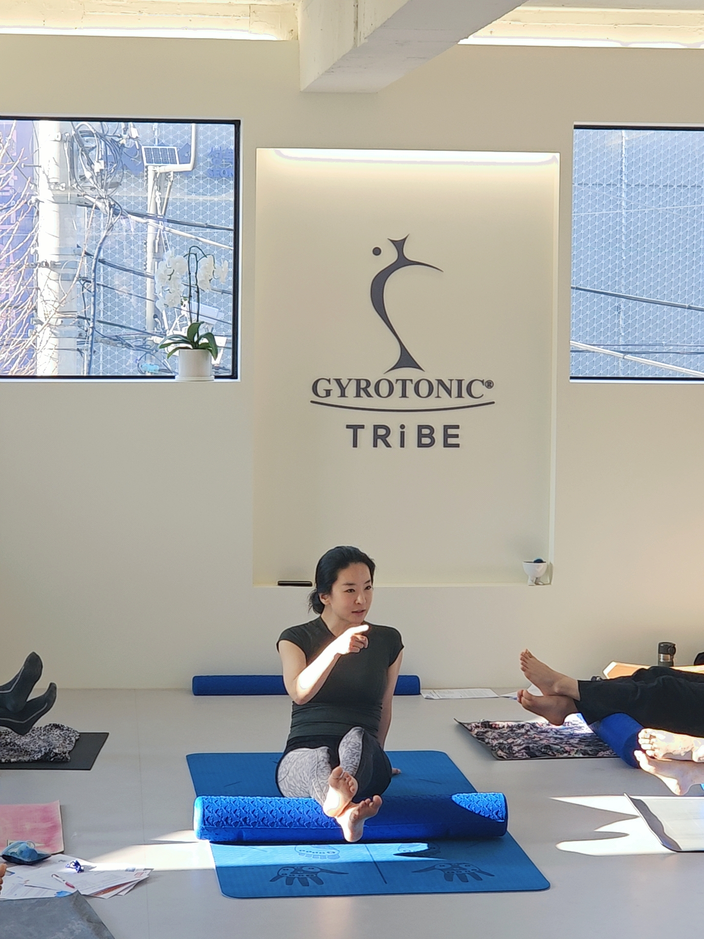 자이로토닉 트라이브 대표 이미지