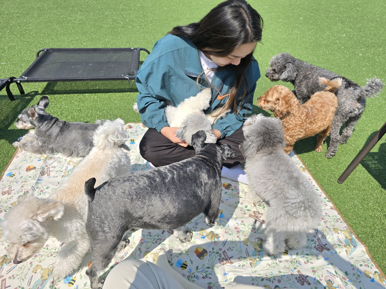 무럭무럭자라개 대표 이미지