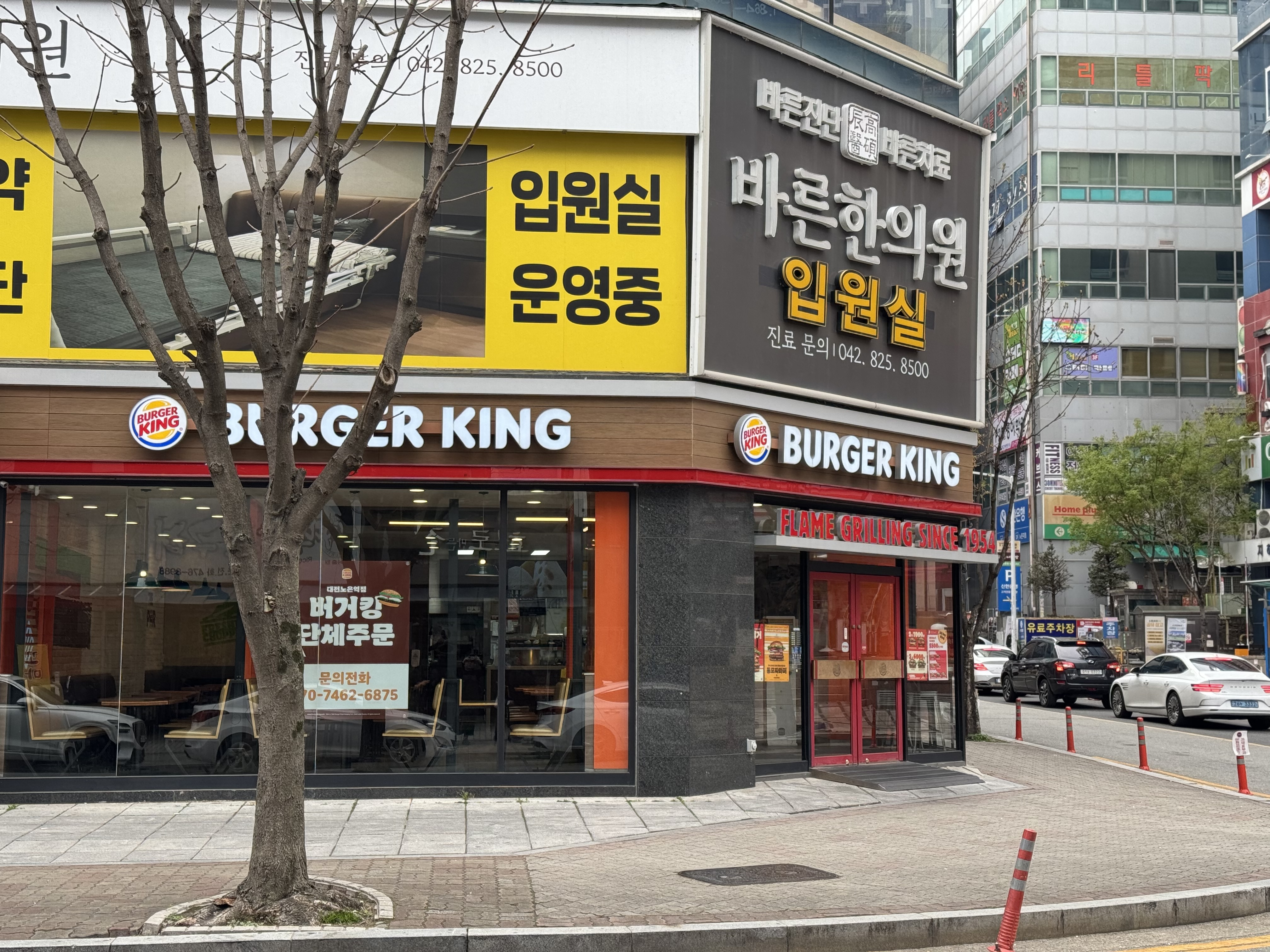 효모로만든찬 노은점