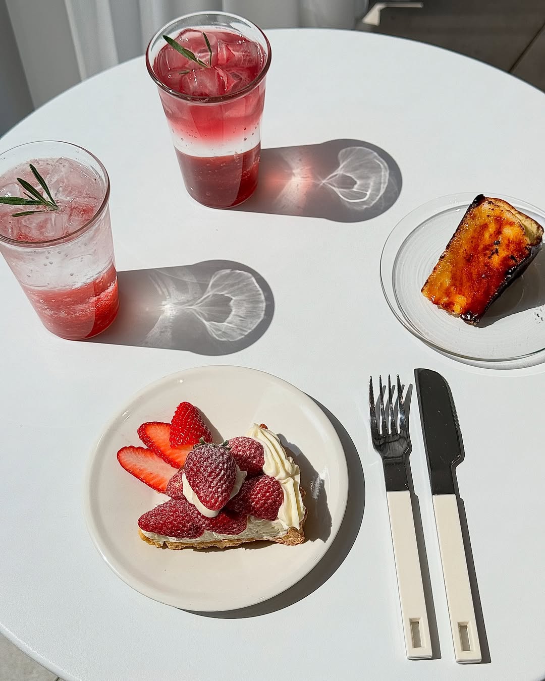 라스트위크 전라 애견맛집