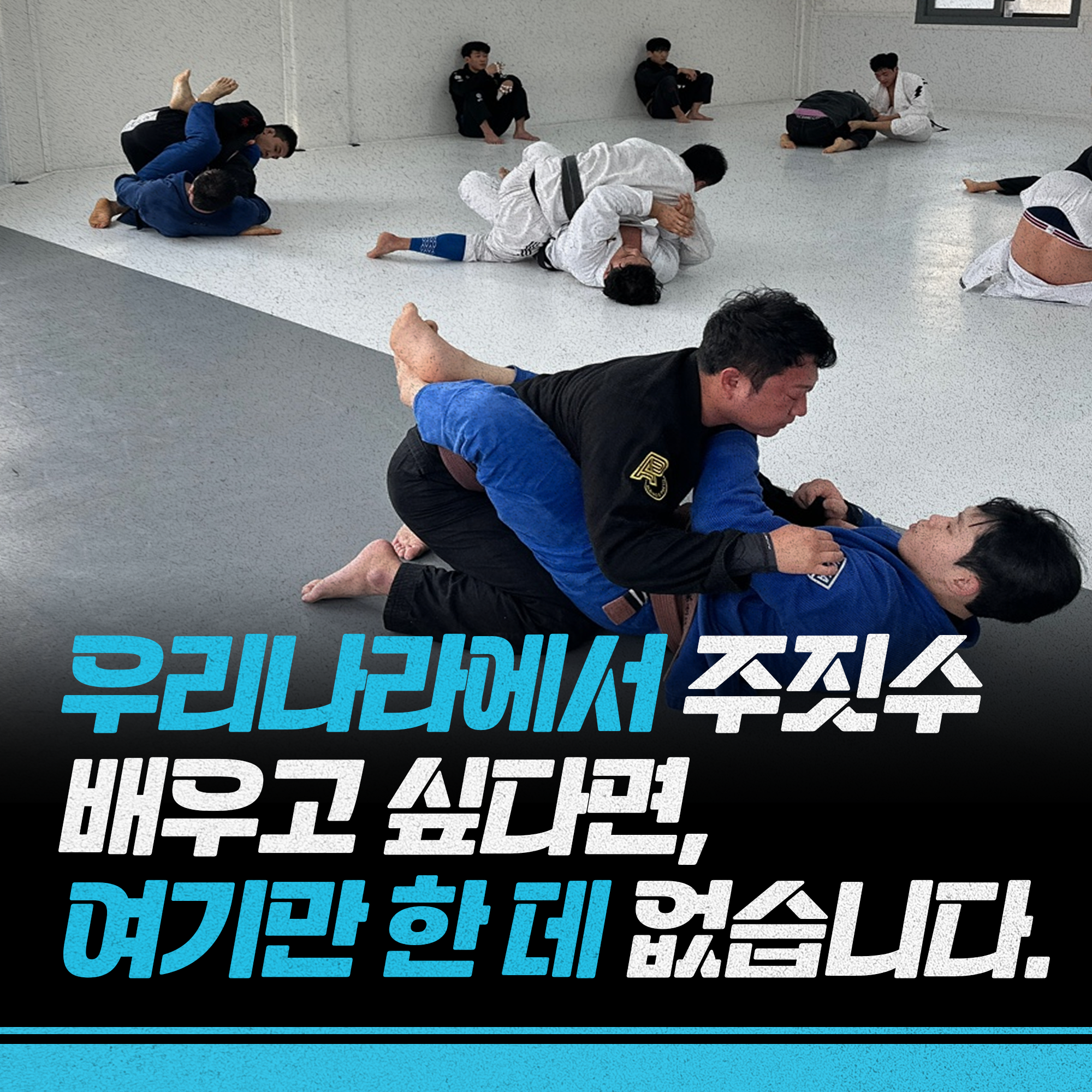 팀루츠 주짓수