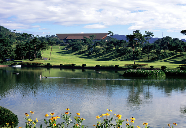 신안CC 대표 이미지