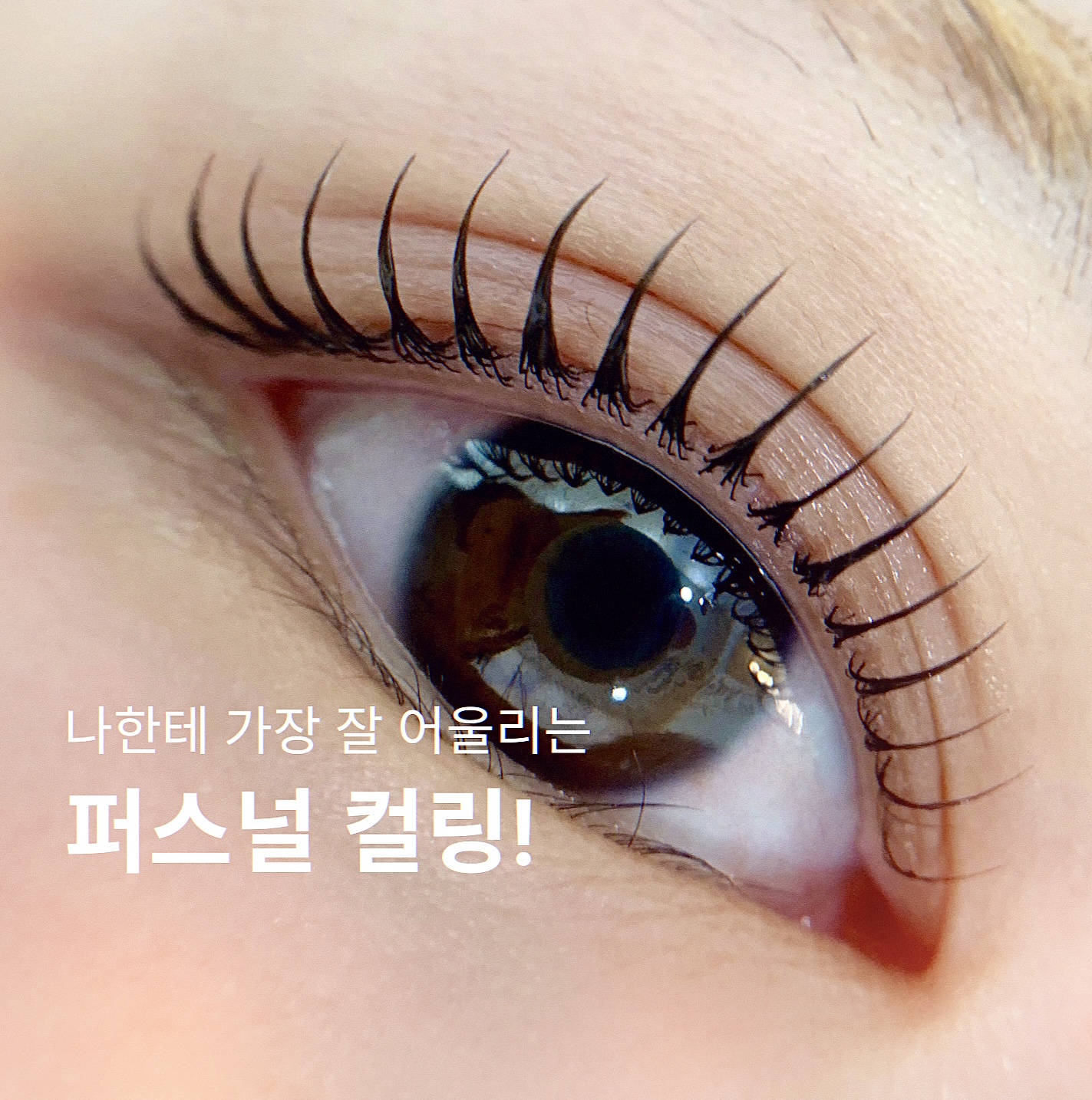 다봄