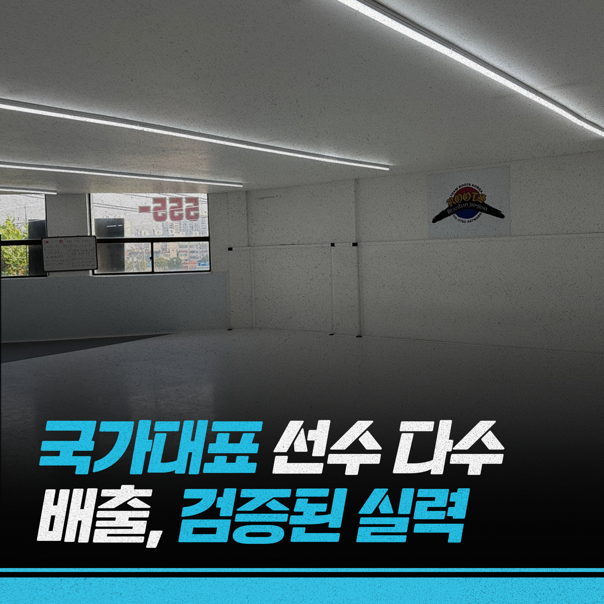 팀루츠 주짓수