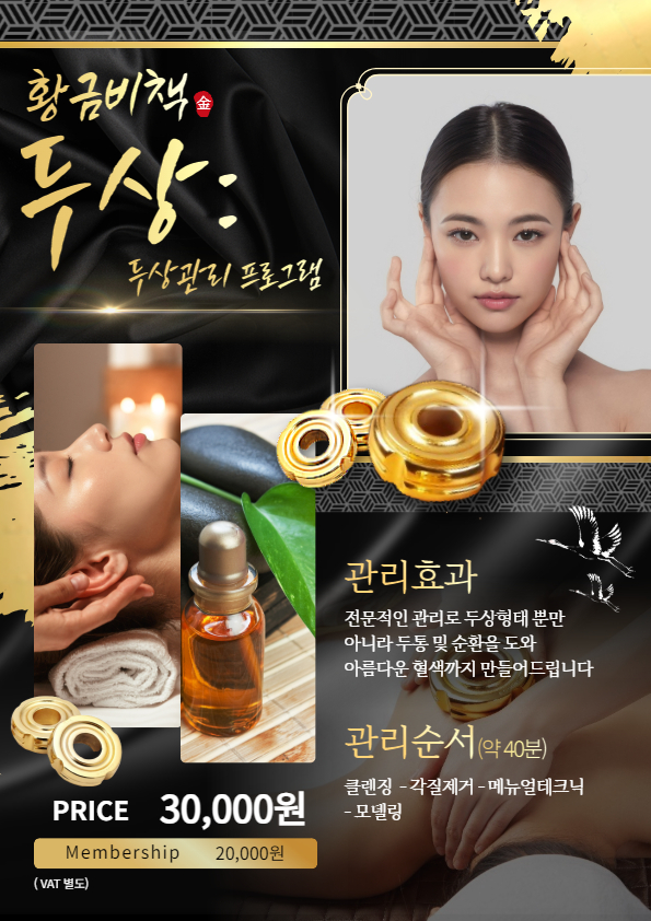 황금비책 대표 이미지