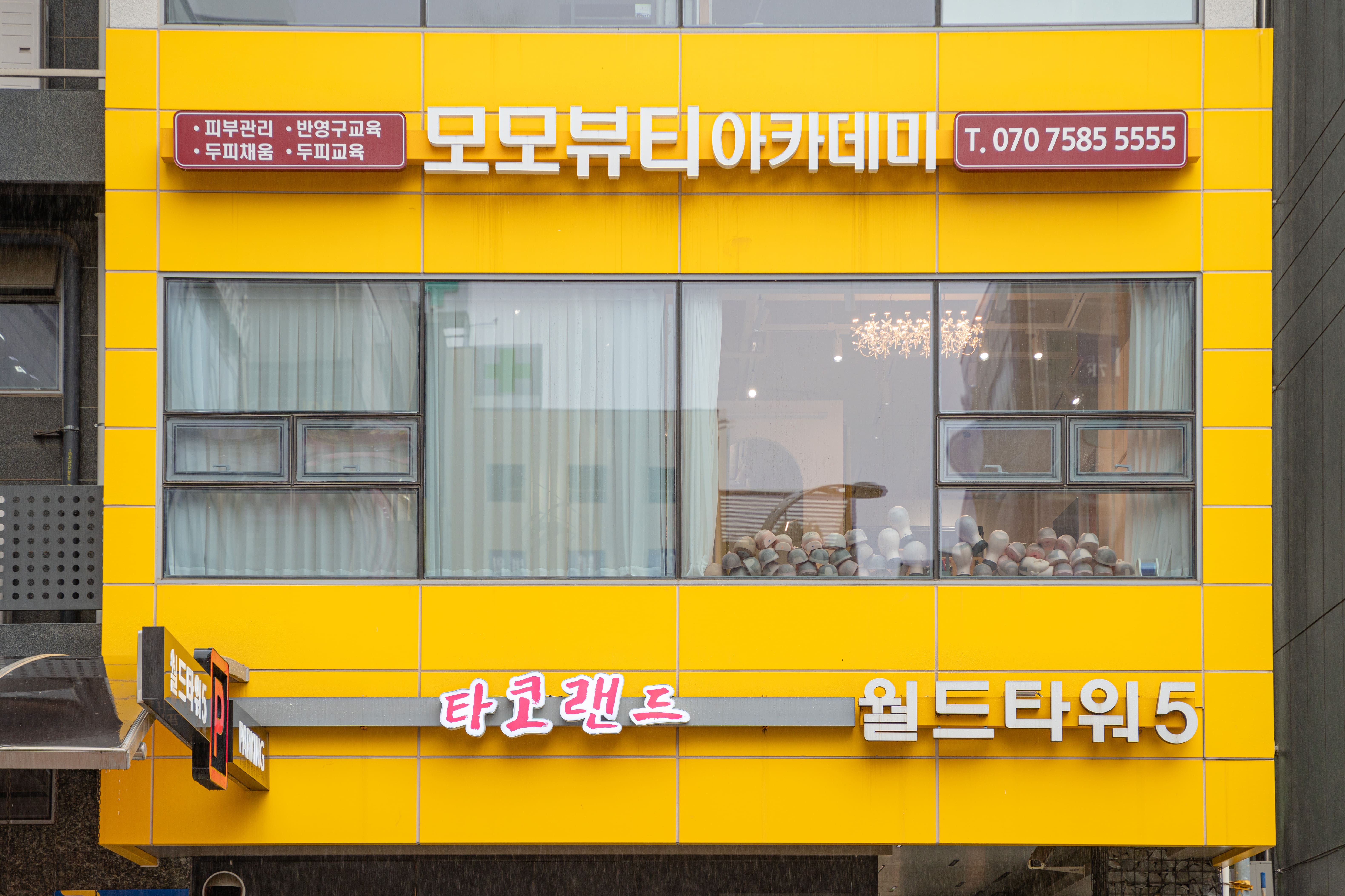 모모뷰티아카데미모두애스칼프