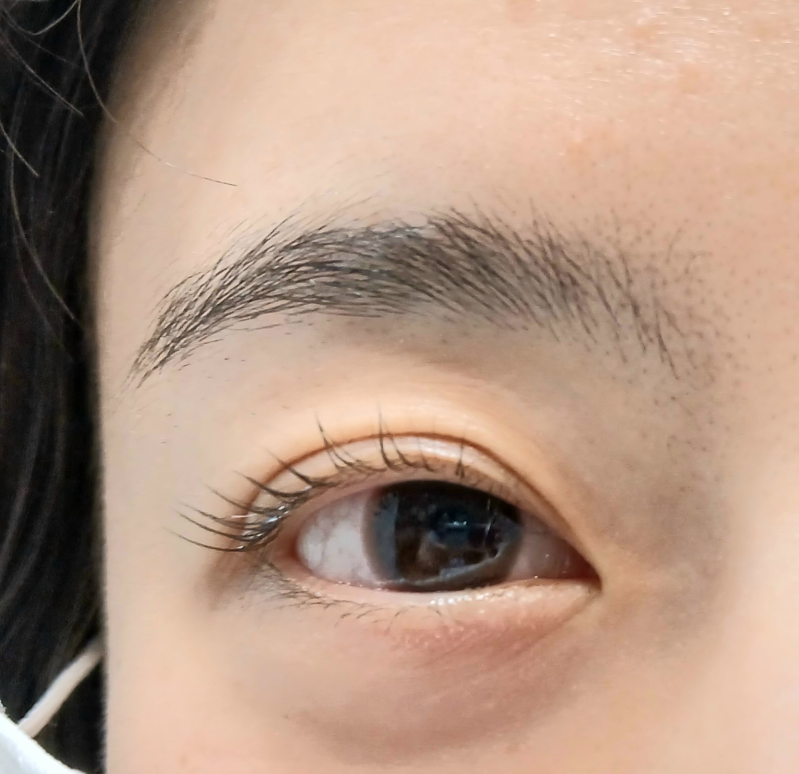 제이속눈썹