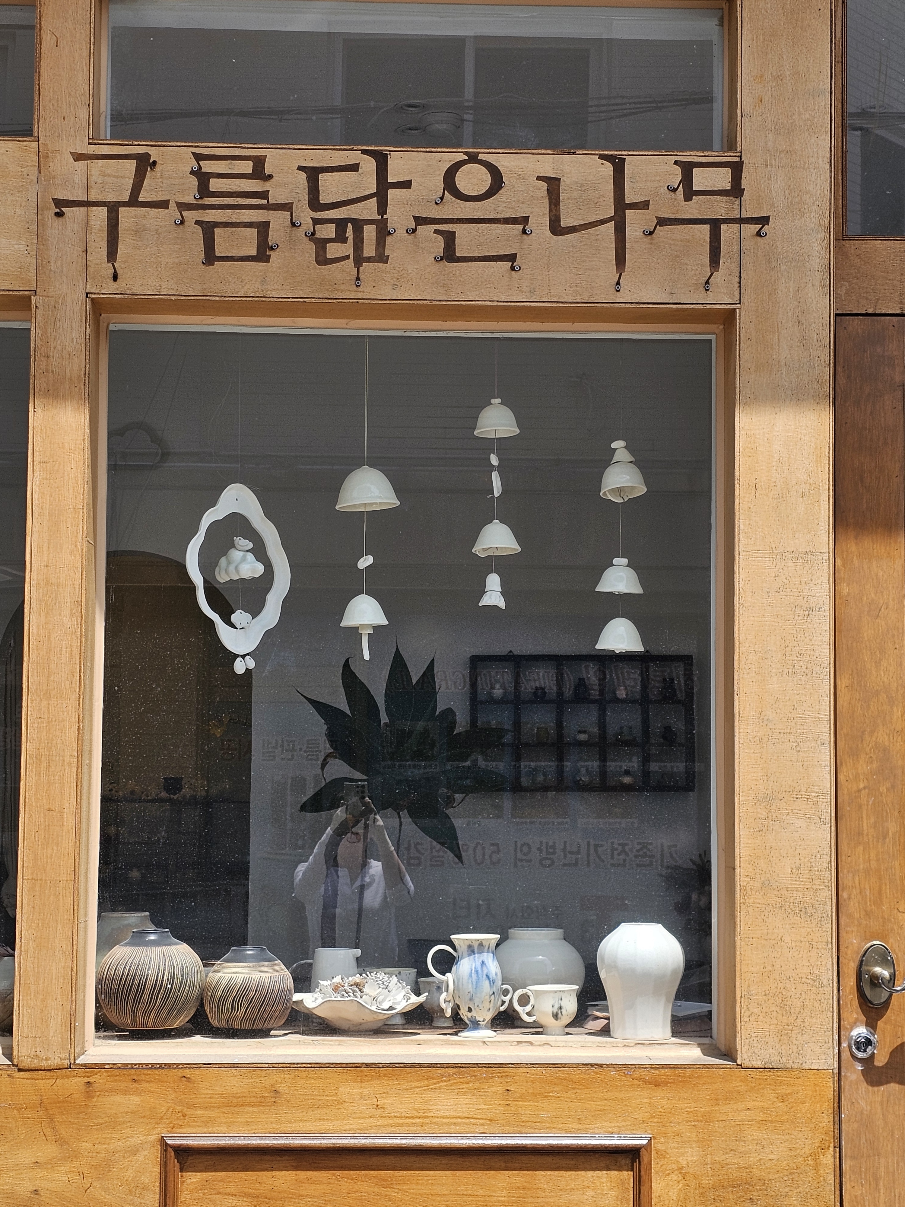 구름닮은나무