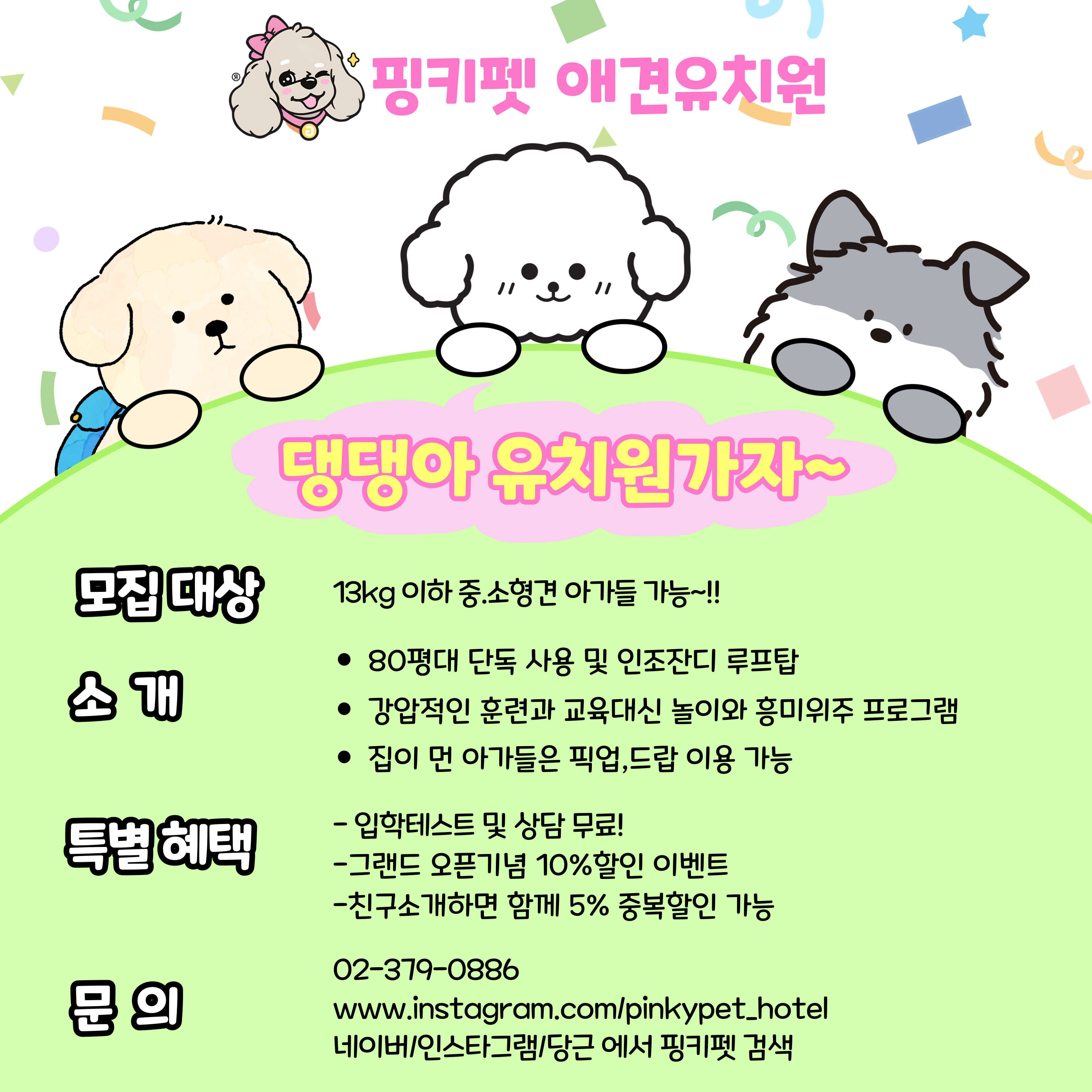 핑키펫 애견유치원&애견호텔 대표 이미지
