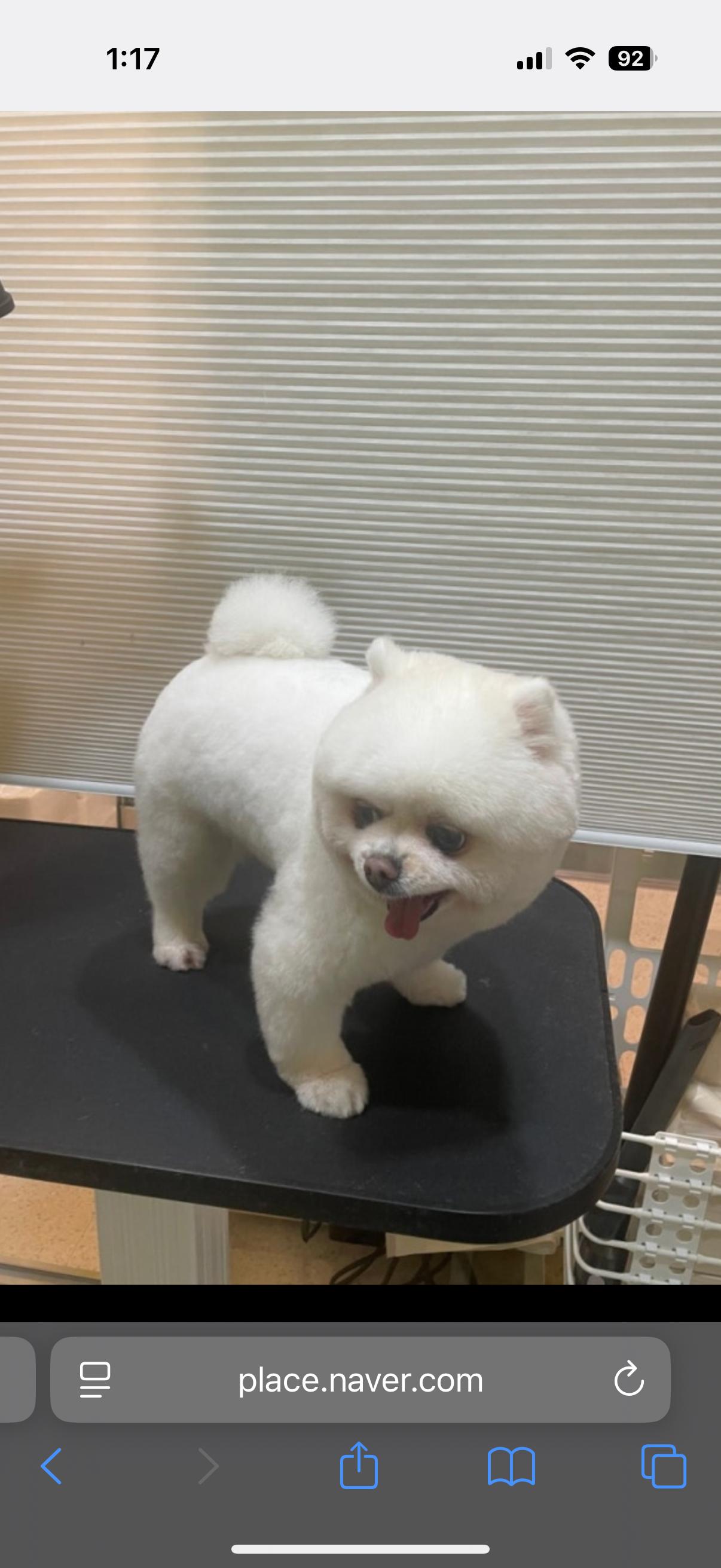 픽스샵 서울대입구아이폰수리