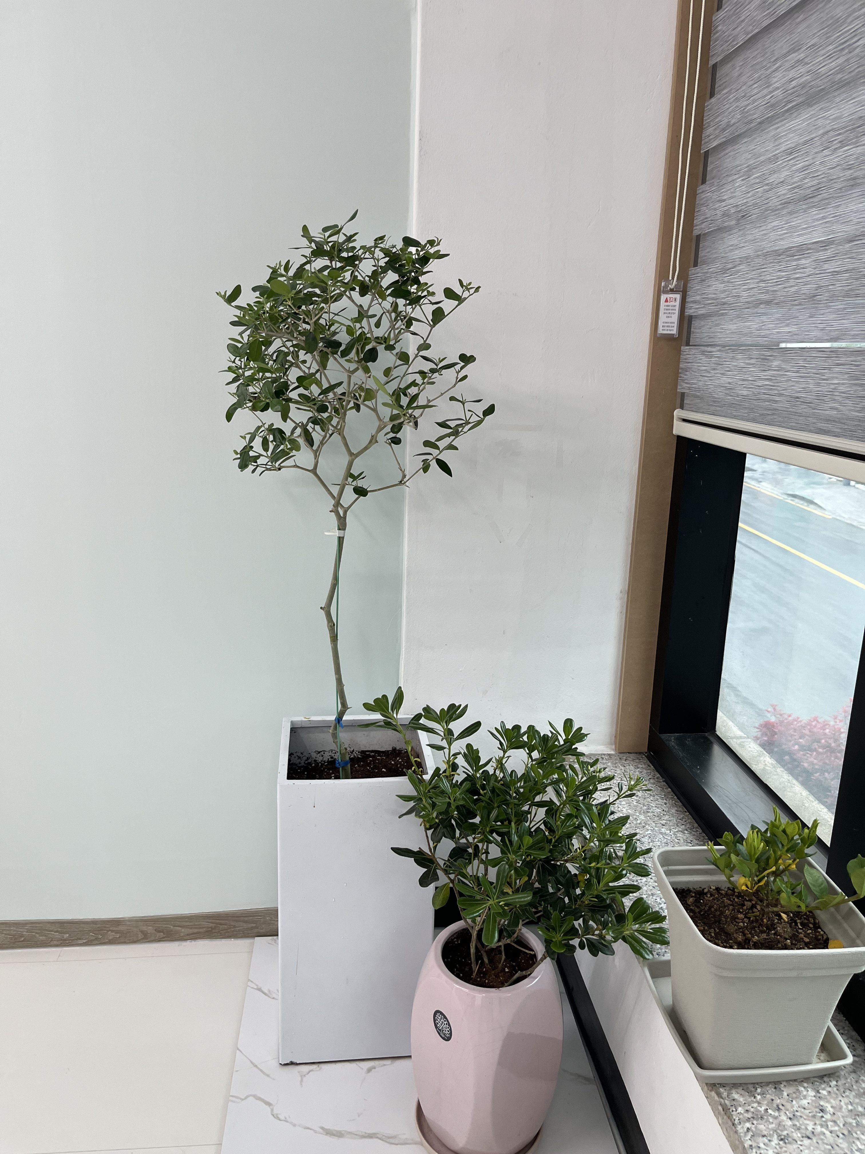 허깅맘 심리상담센터 photo 7