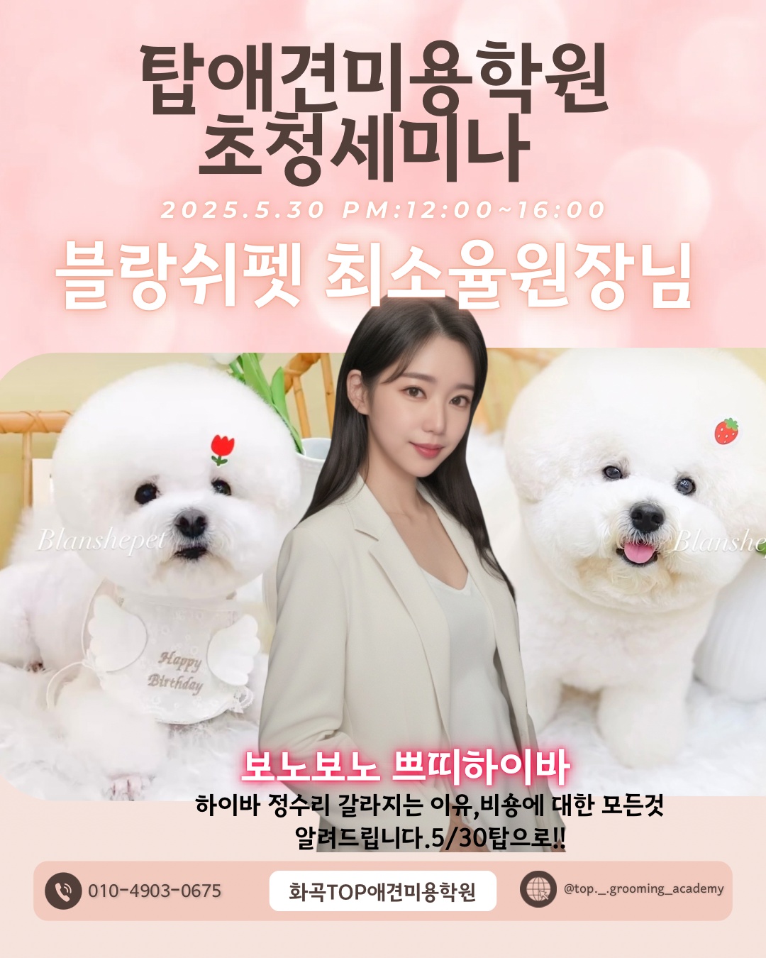 탑애견미용학원