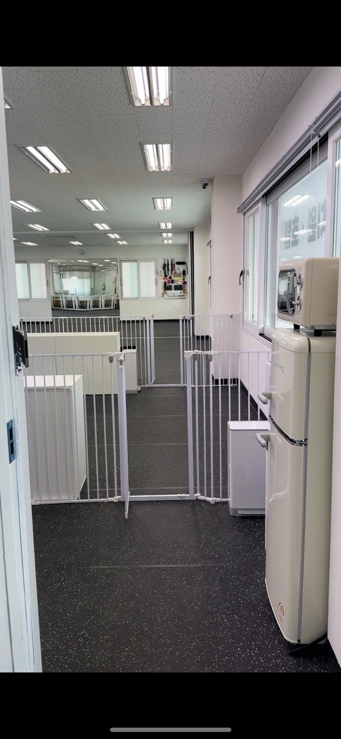 대견하개 애견유치원 애견호텔 강아지유치원 강아지호텔 대표 이미지