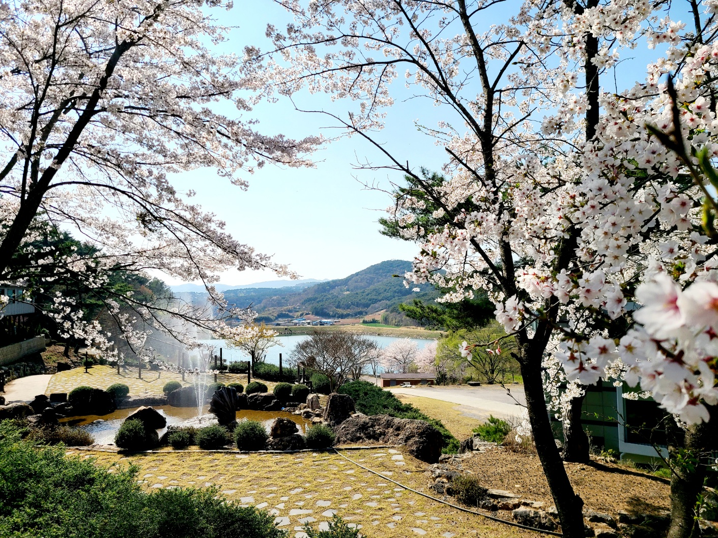 백아 설명사진