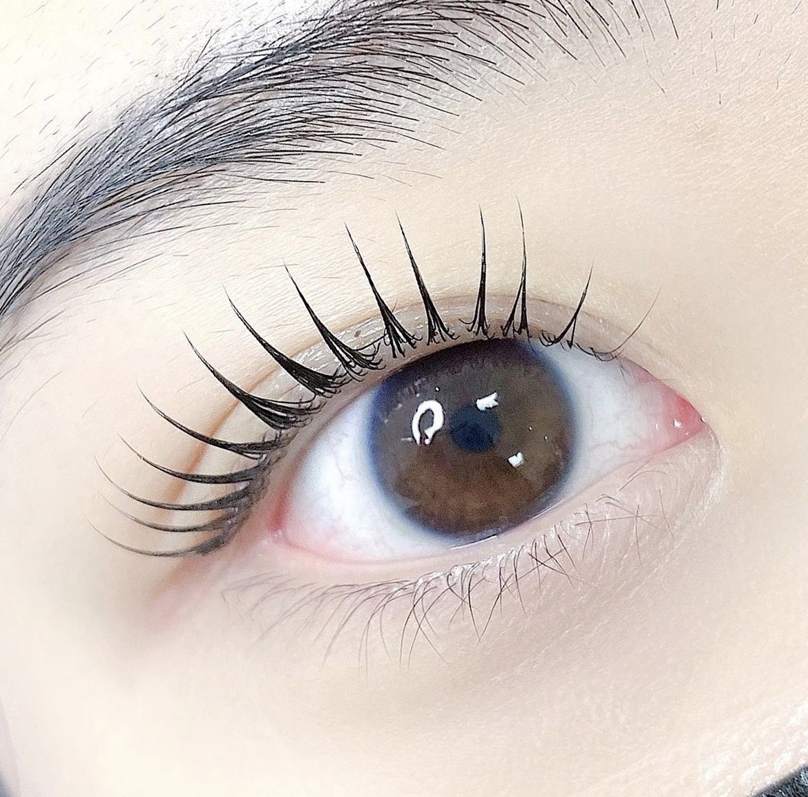 온보떼뷰티 대표 이미지