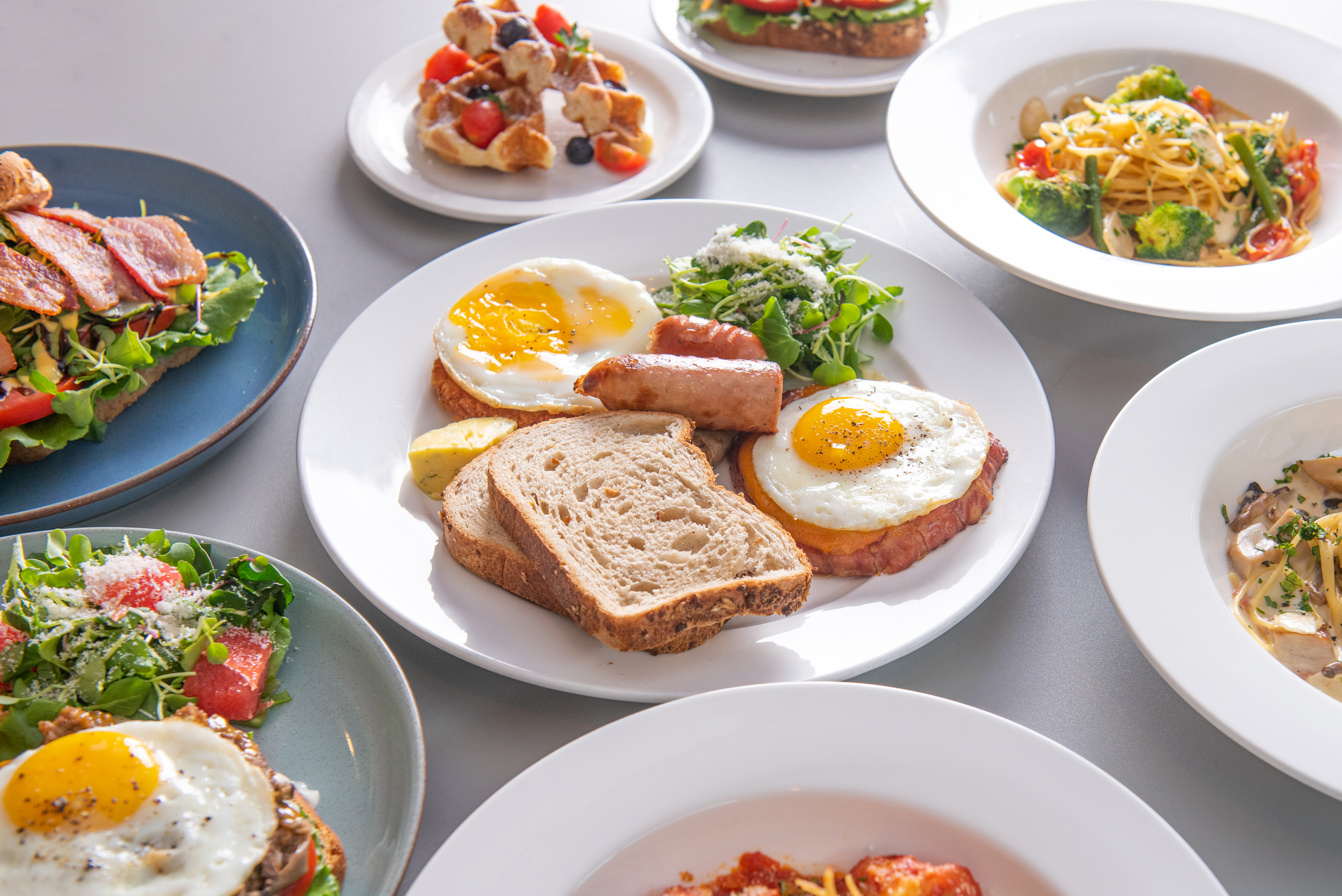 블랙랩 대표 이미지