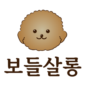 보들살롱 대표 이미지