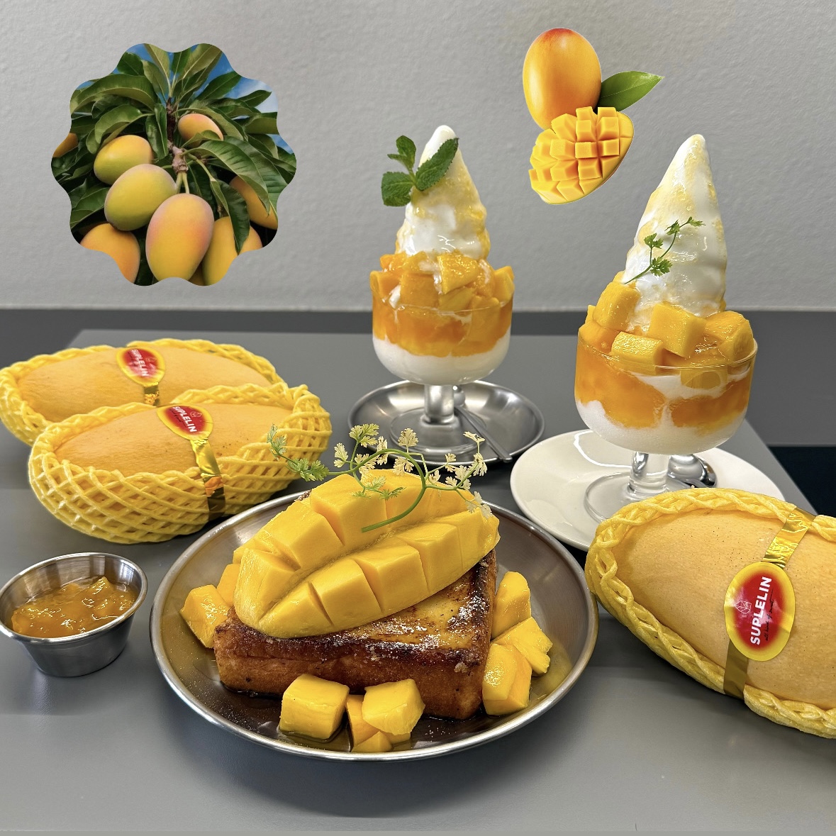 의정서 2