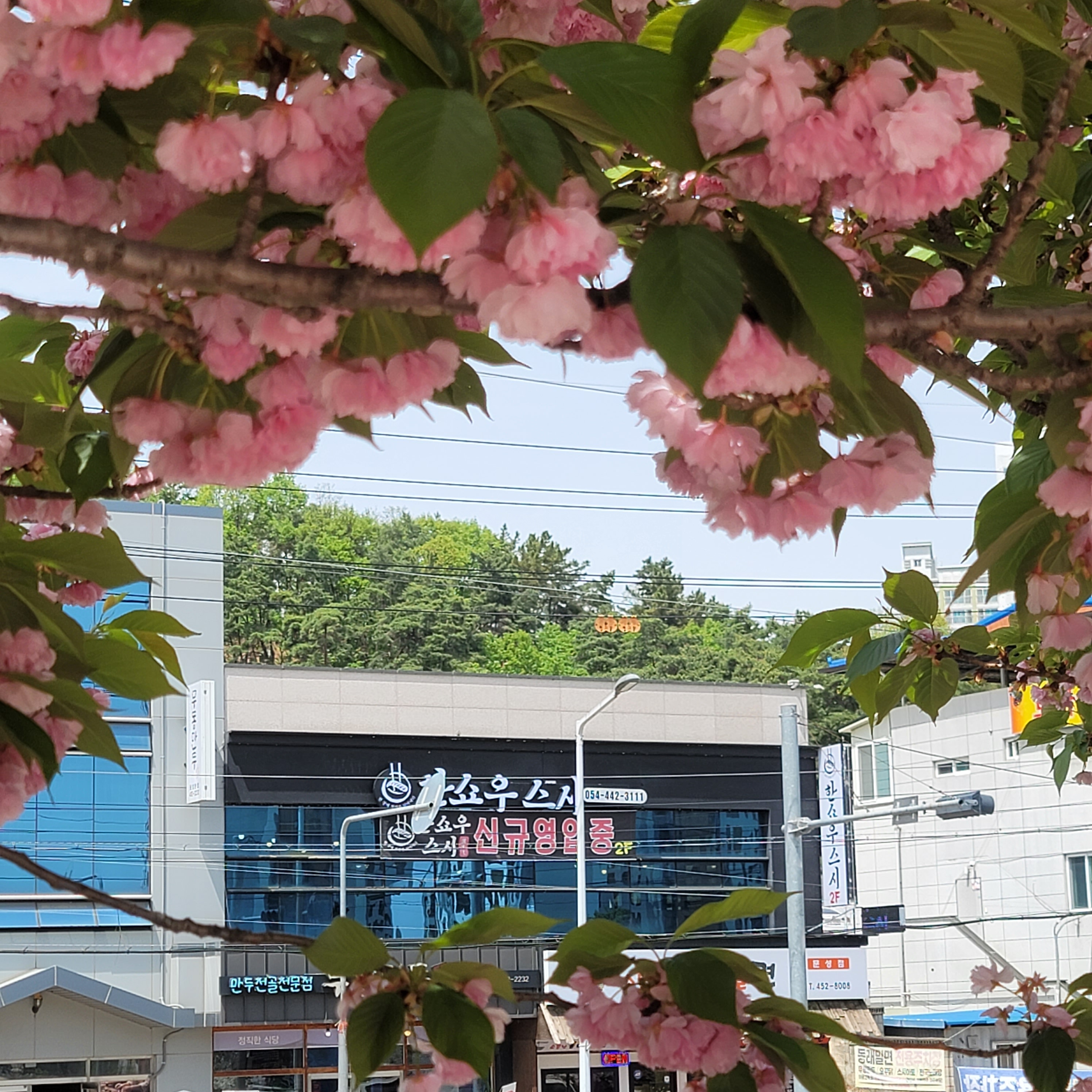 한쇼우스시 문성점