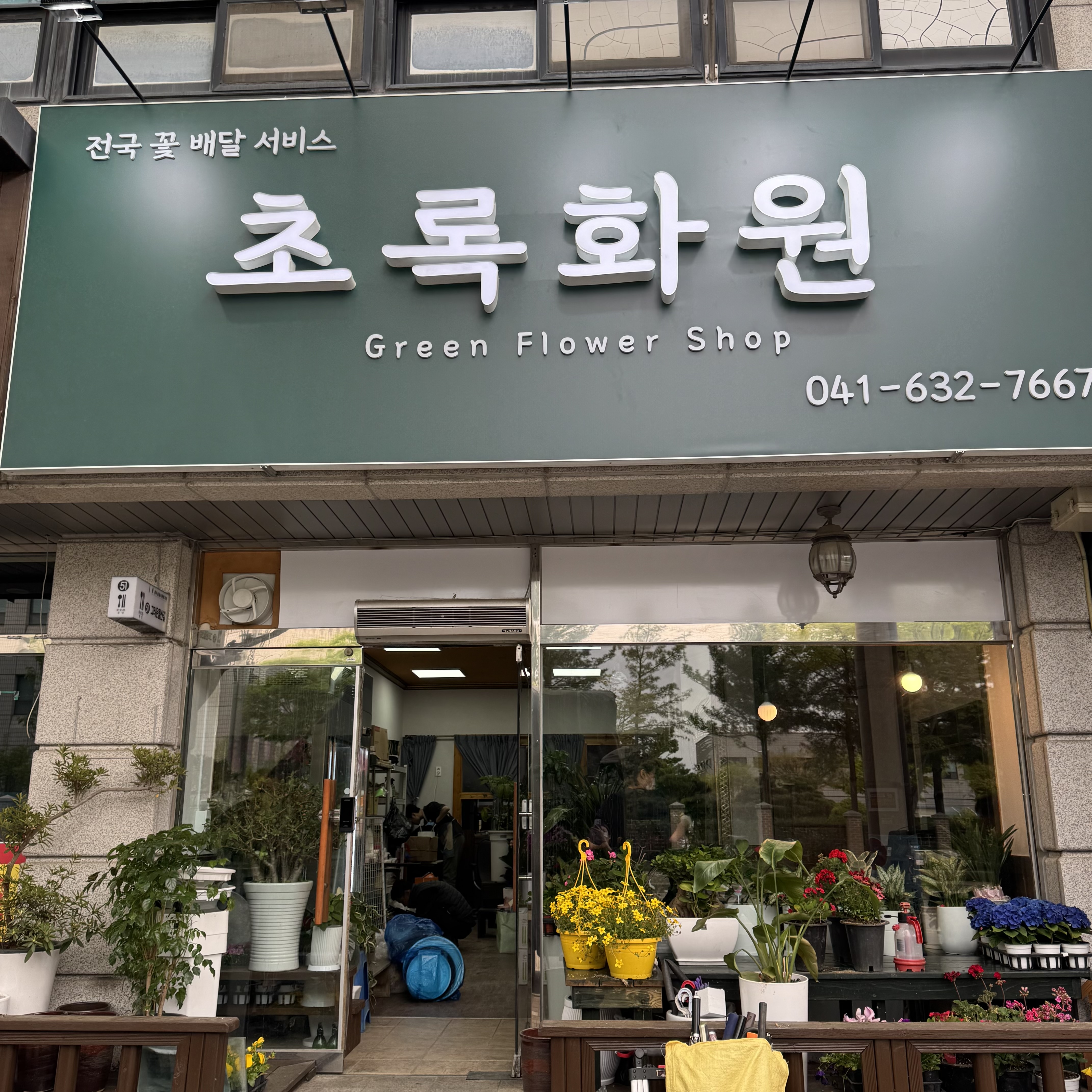 초록화원