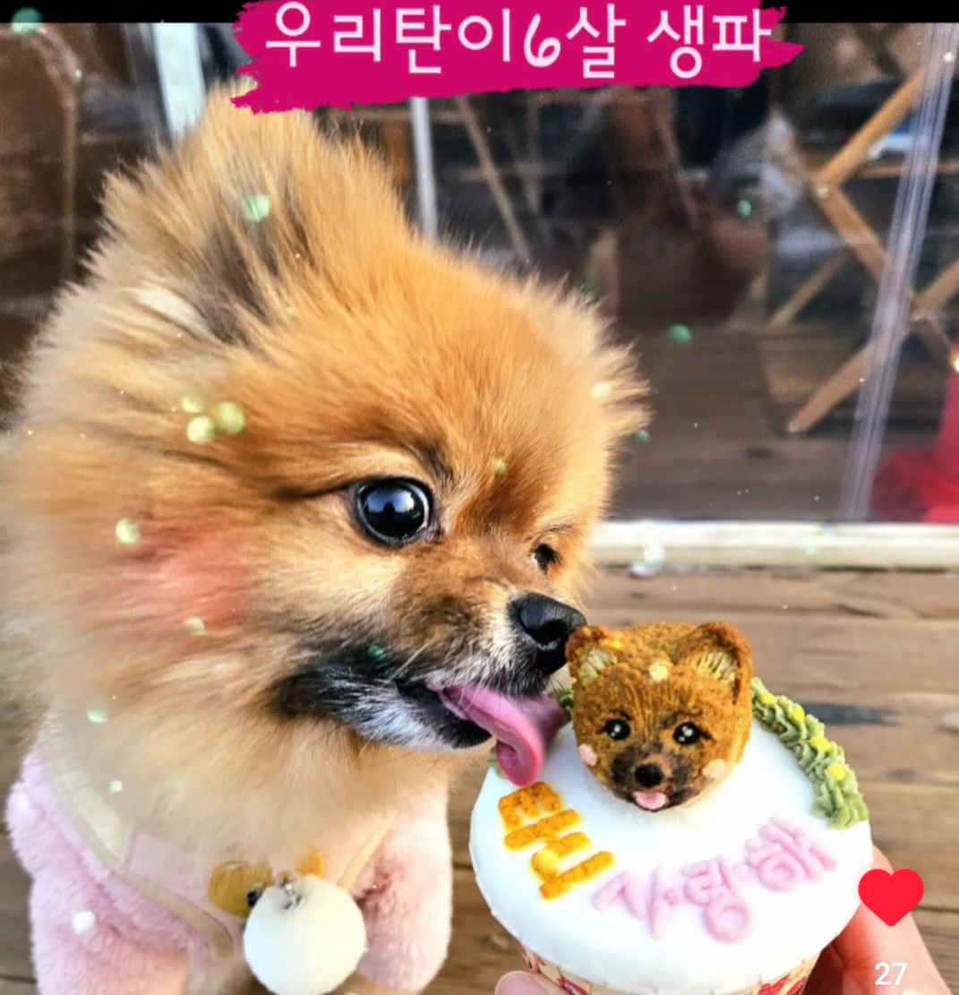 맛있개신나개 본점 대표 이미지
