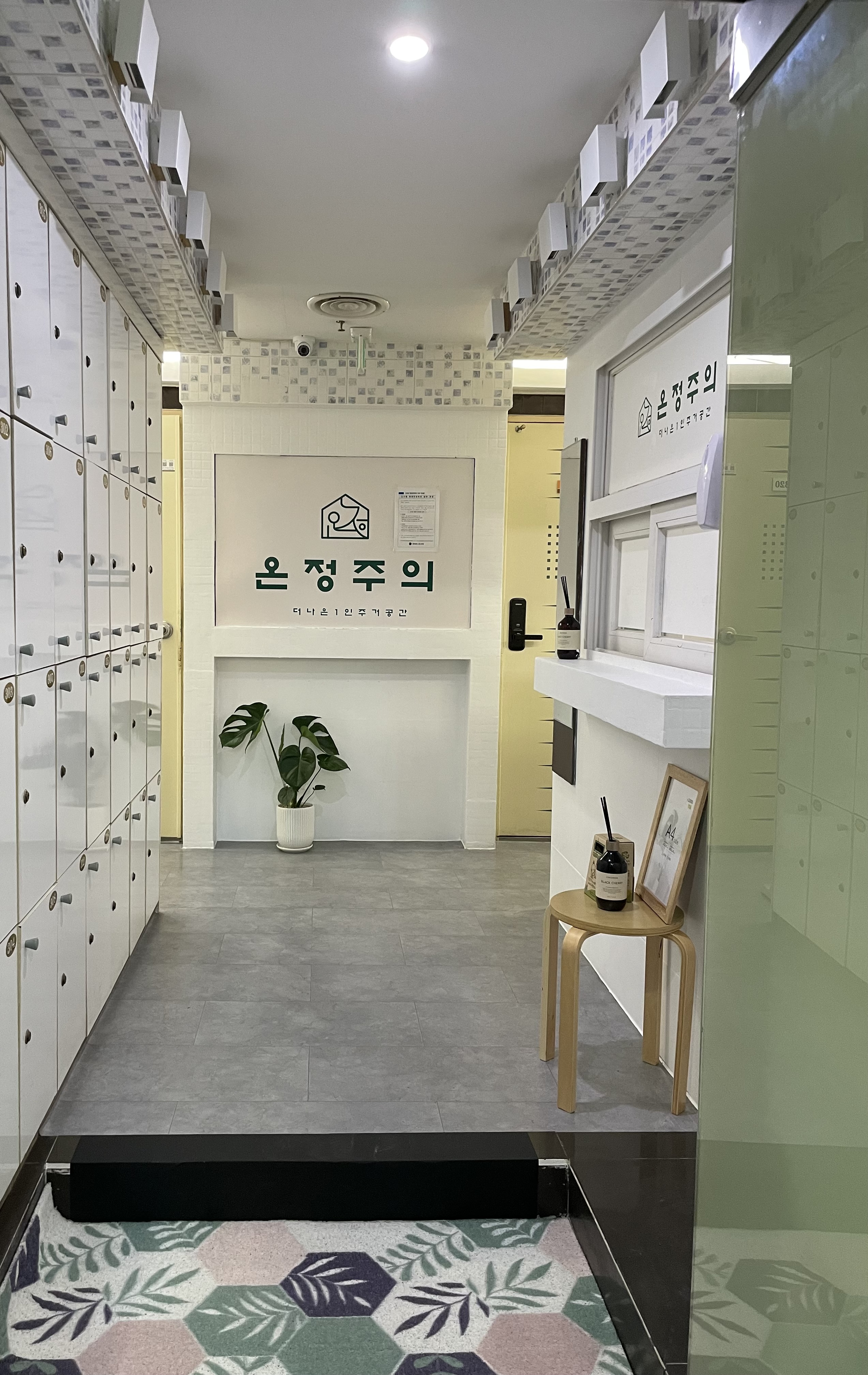 온정주의 장안벚꽃길