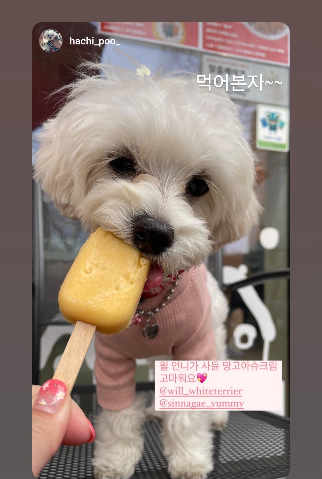 맛있개신나개 본점 대표 이미지