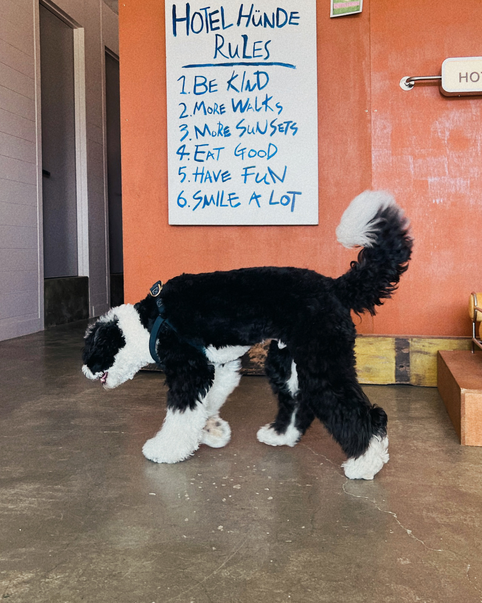 호텔훈트 대표 이미지