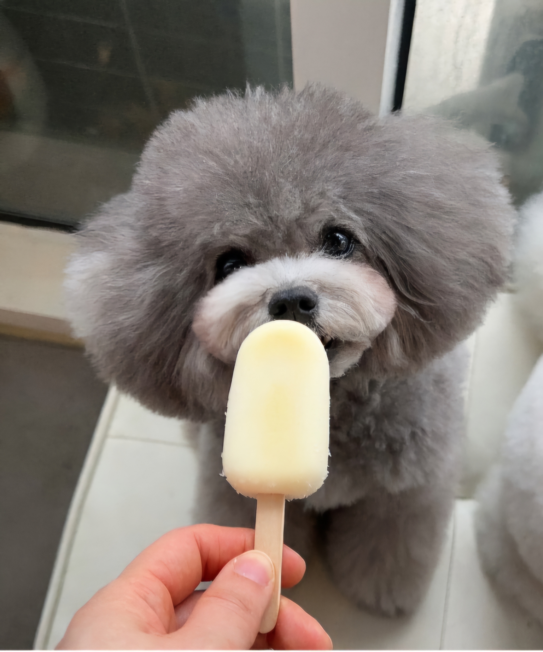 맛있개신나개 본점 대표 이미지