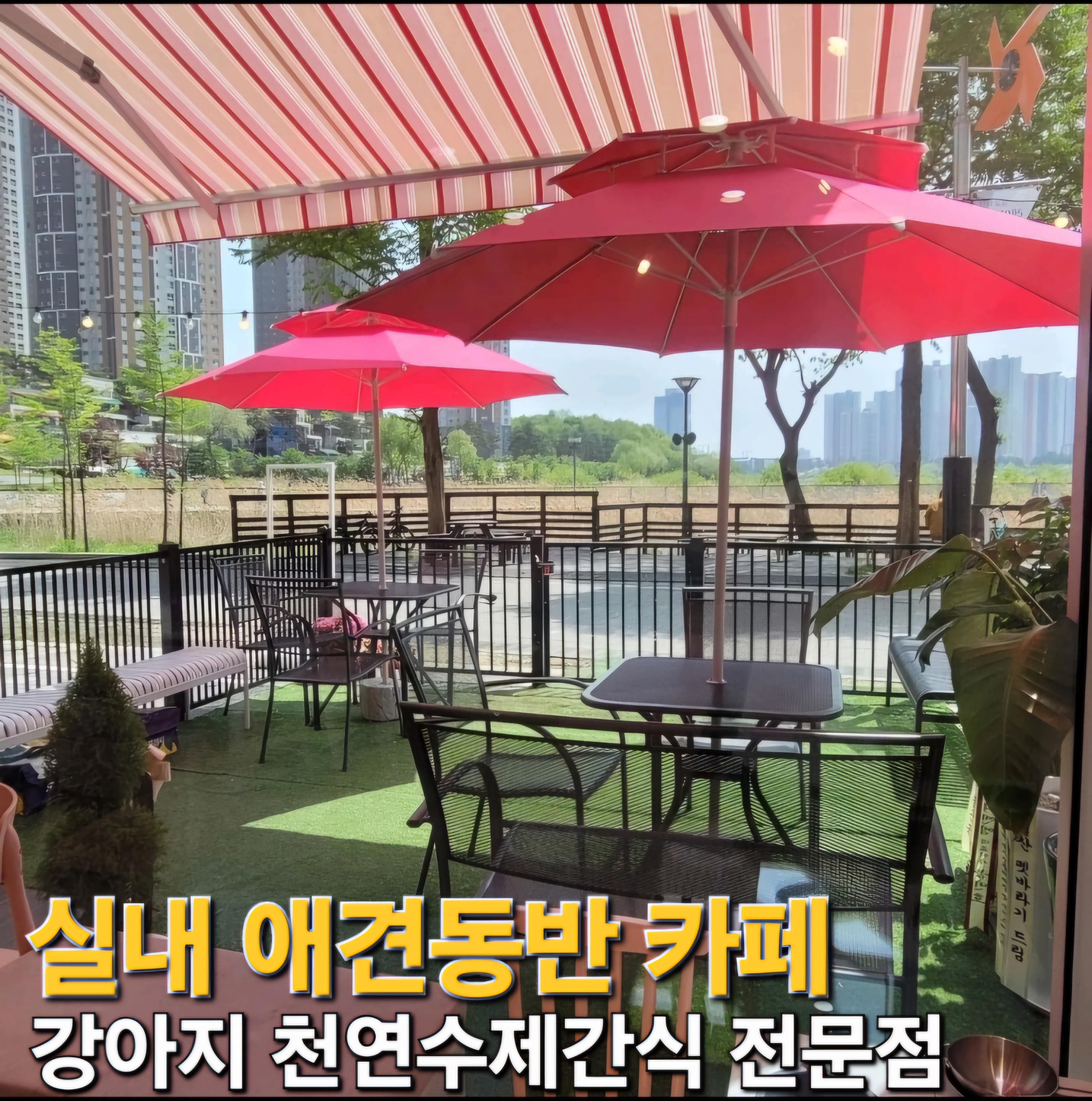맛있개신나개 본점 대표 이미지