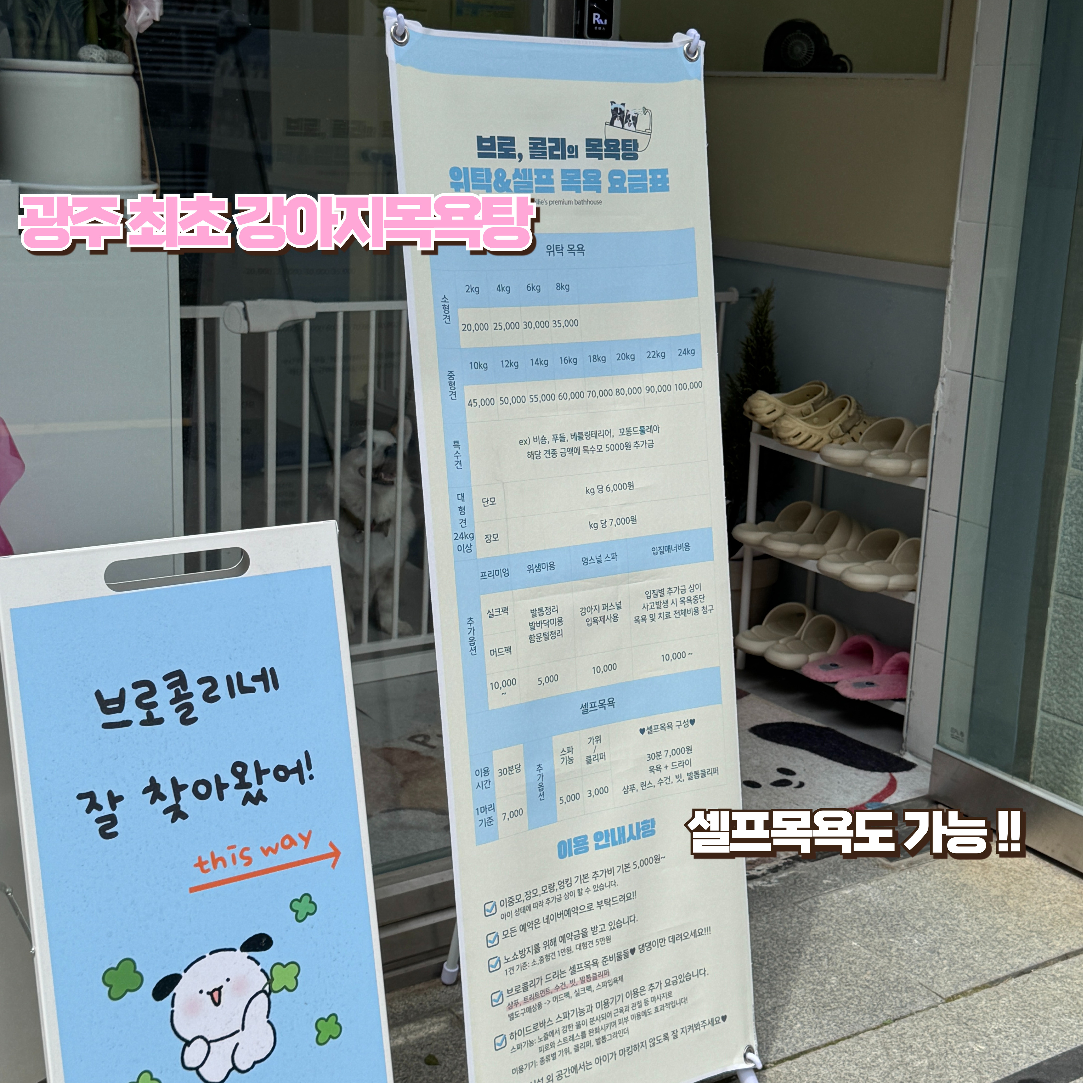 브로콜리네 목욕 및 미용 시설