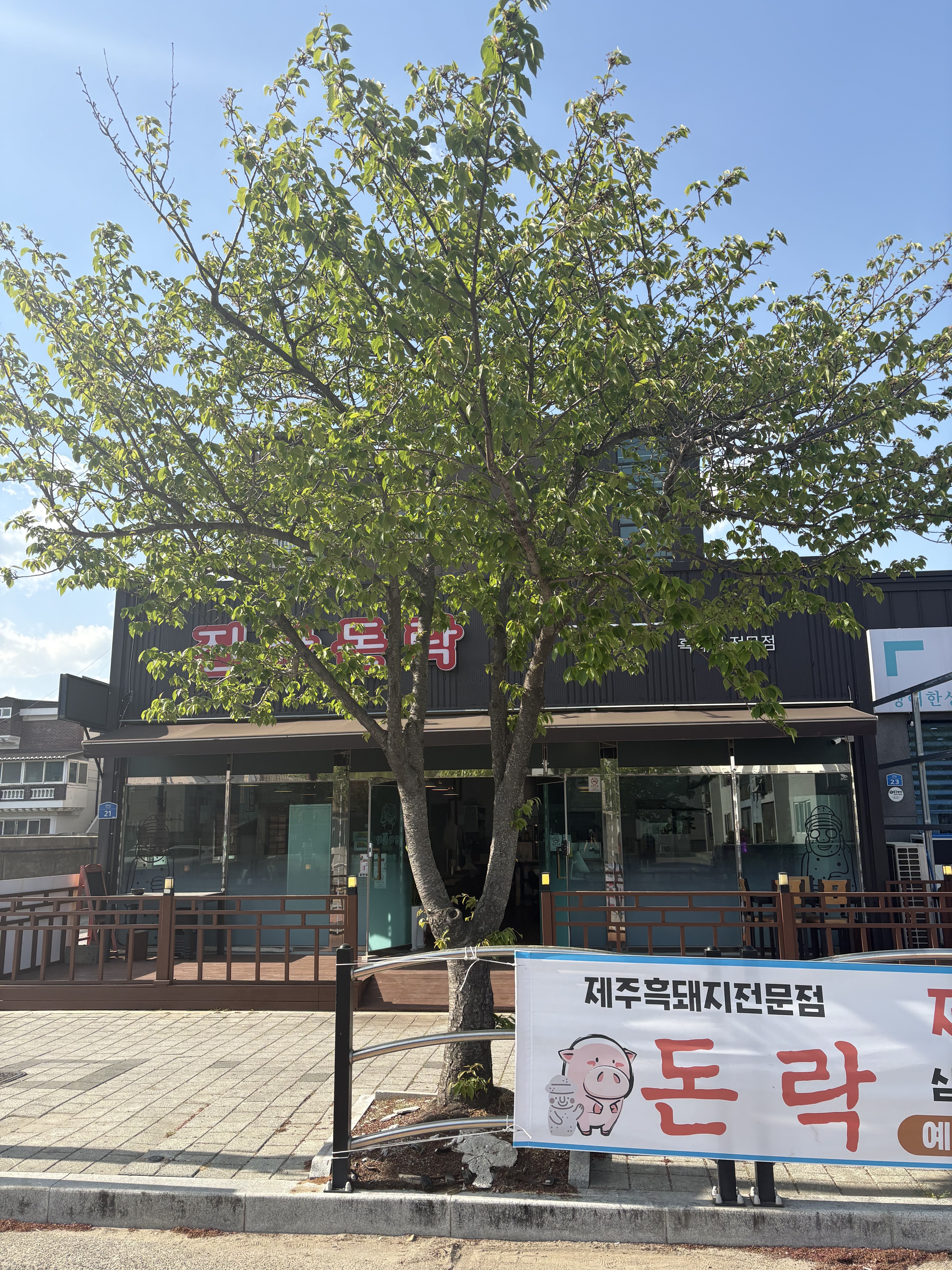 돈락 진하본점