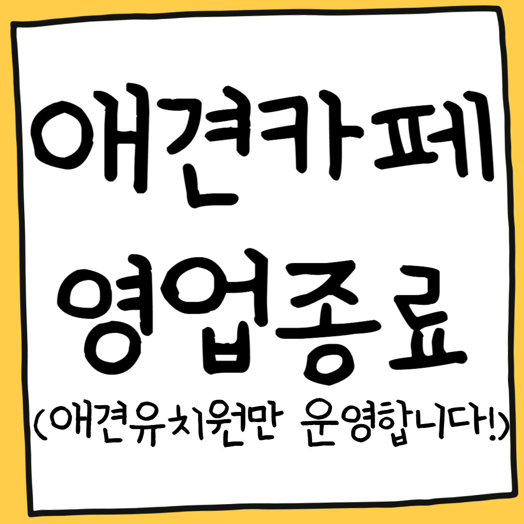 멍,이양 반려동물 동반 애견카페