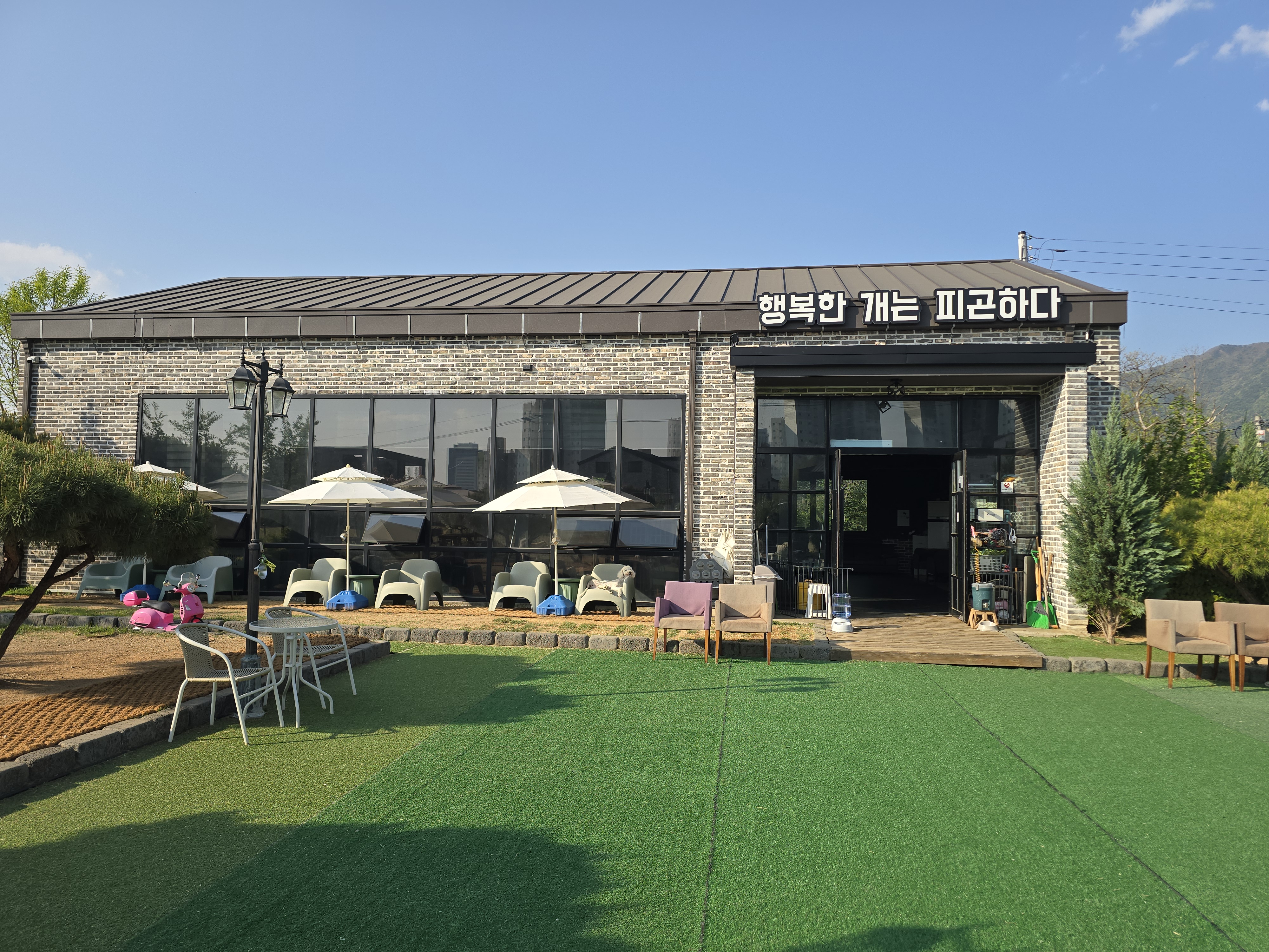 저스트도그 반곡점 반려동물 동반 애견카페