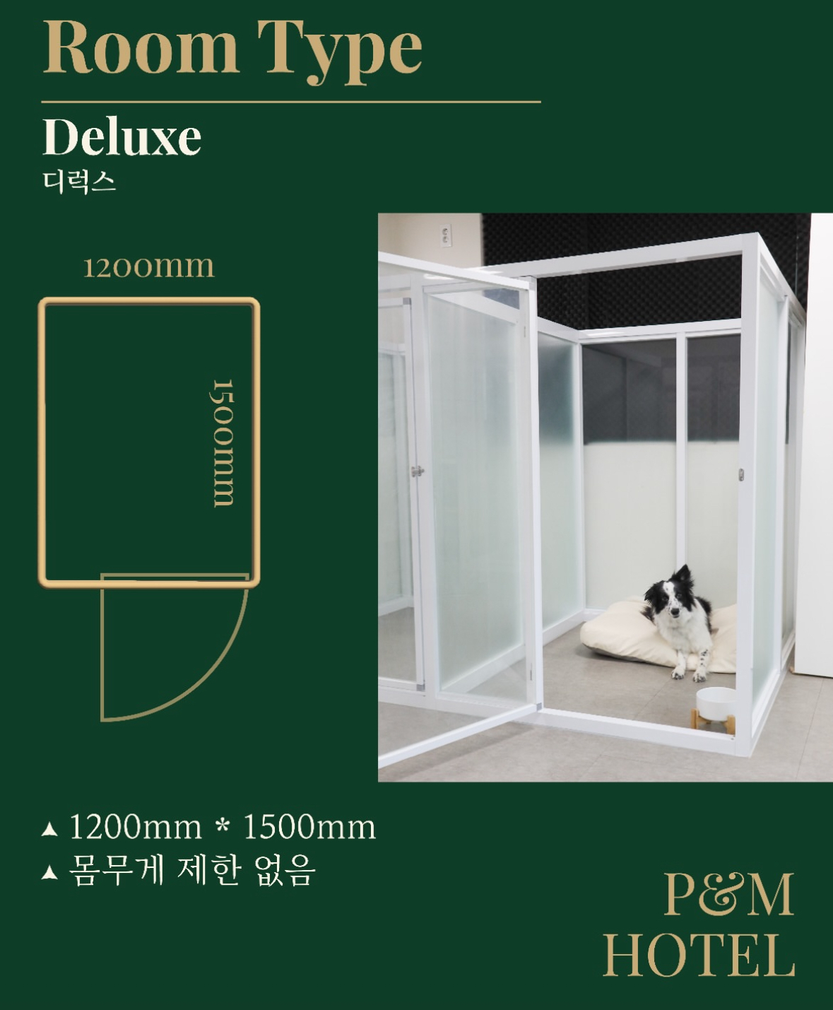 P&M 반려견교육센터 대전점 대표 이미지