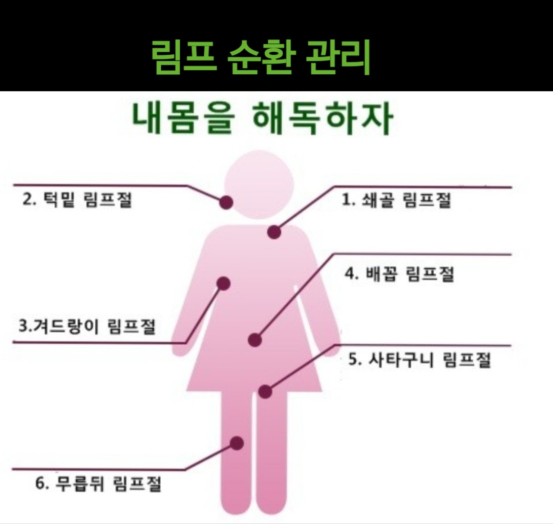 호랑나비 피부앤바디