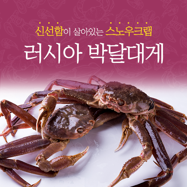 가진상회