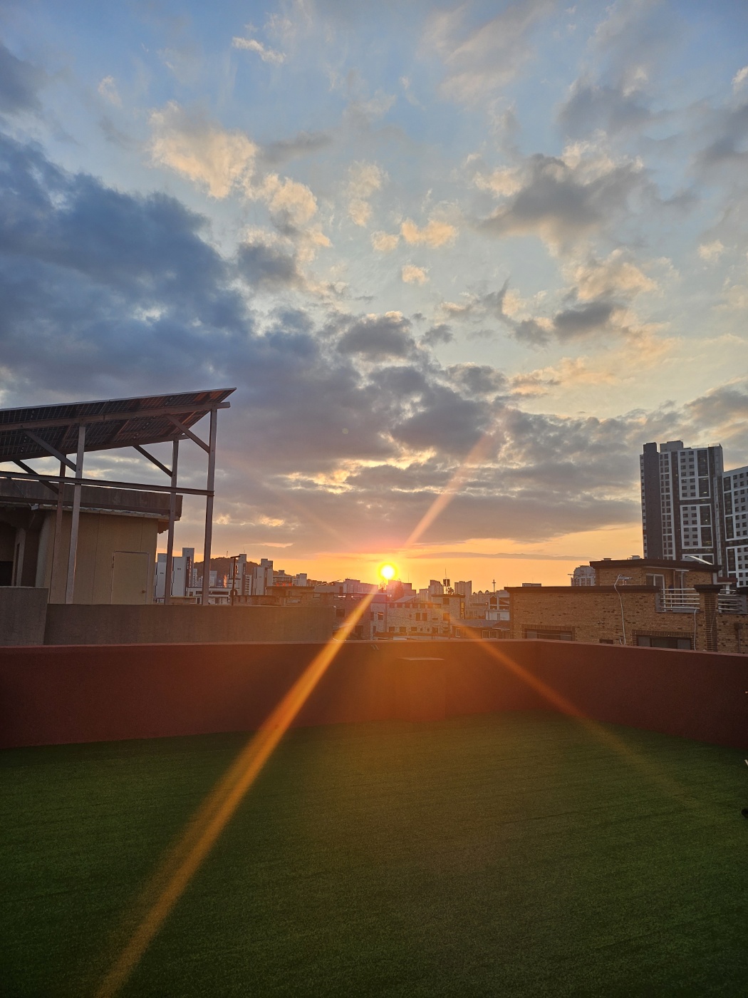 멍뭉빌리지 대표 이미지