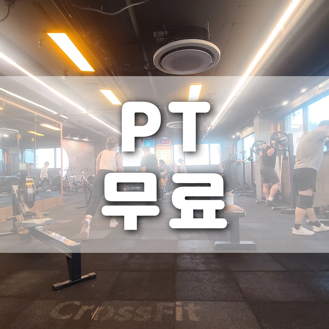 패트릭스아웃컴 고척점