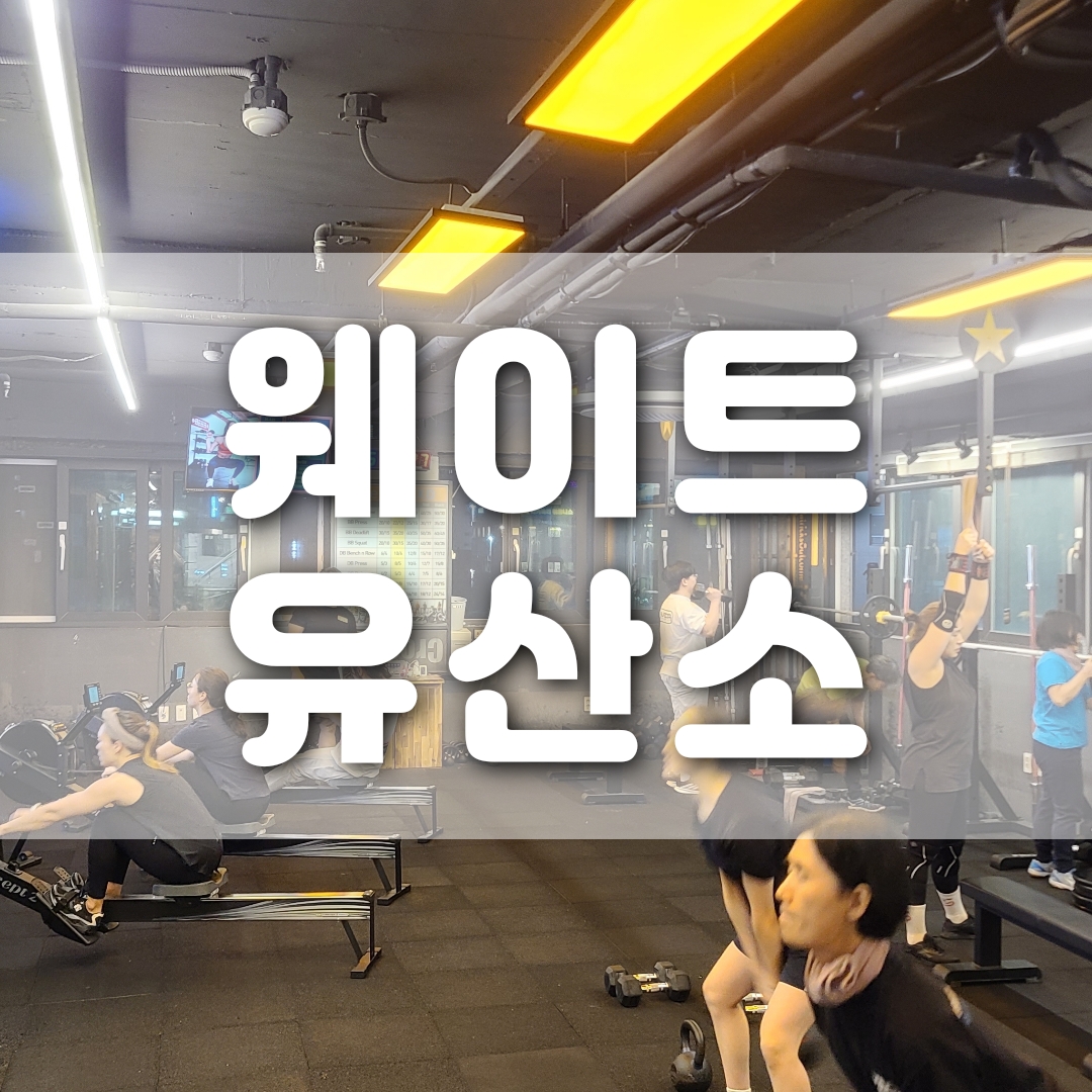 패트릭스아웃컴 고척점