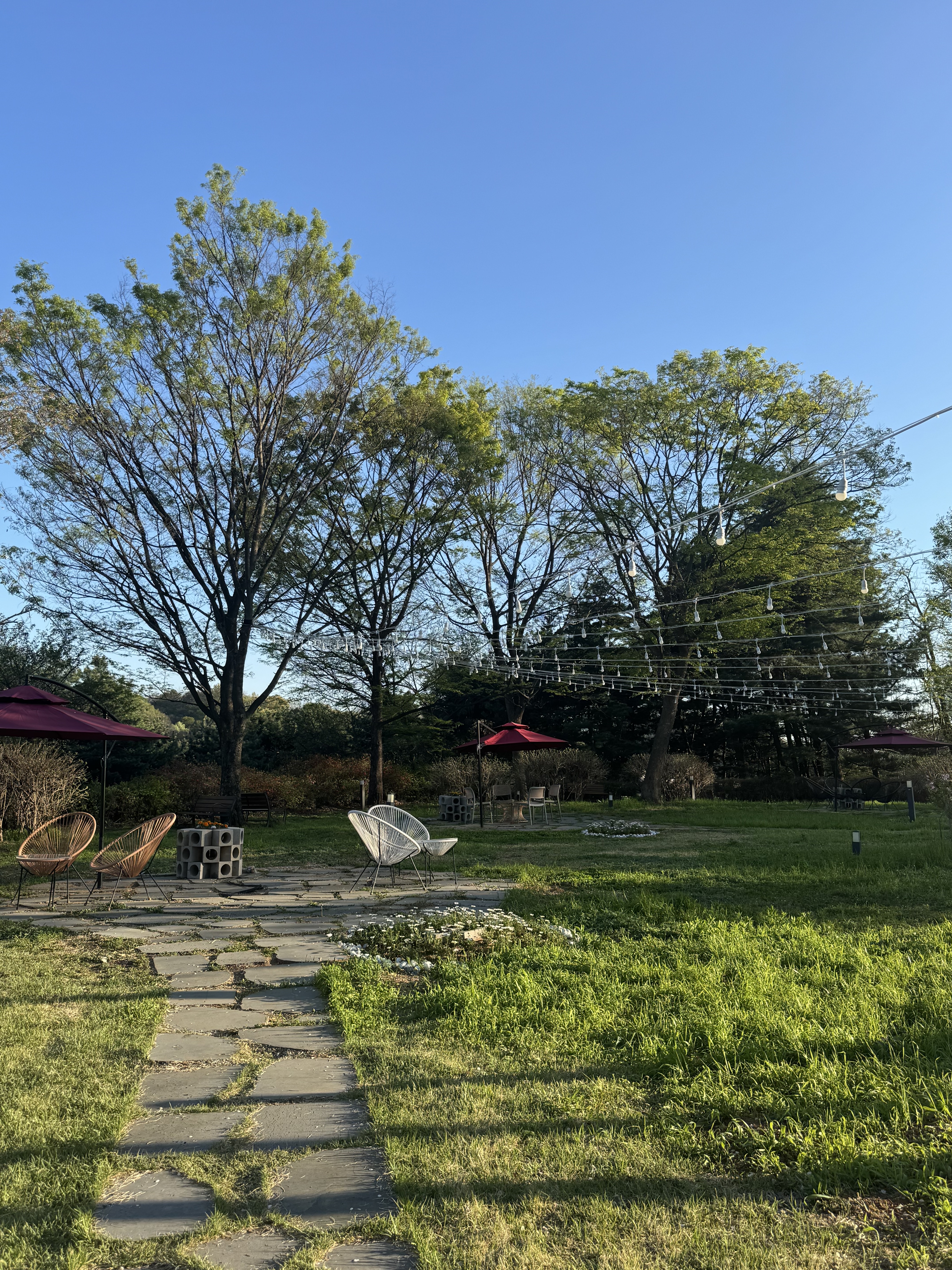 사진 4