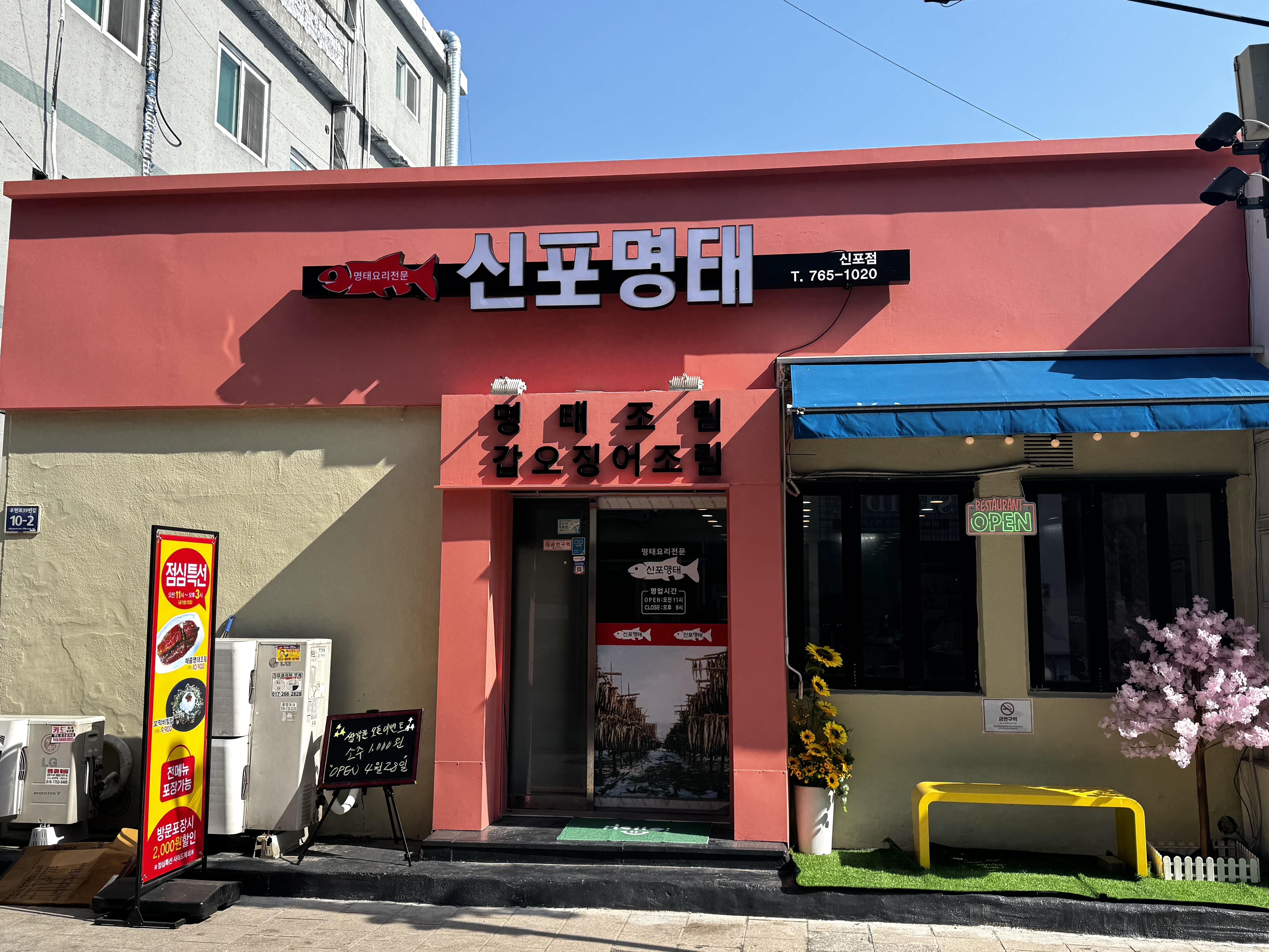 신포명태
